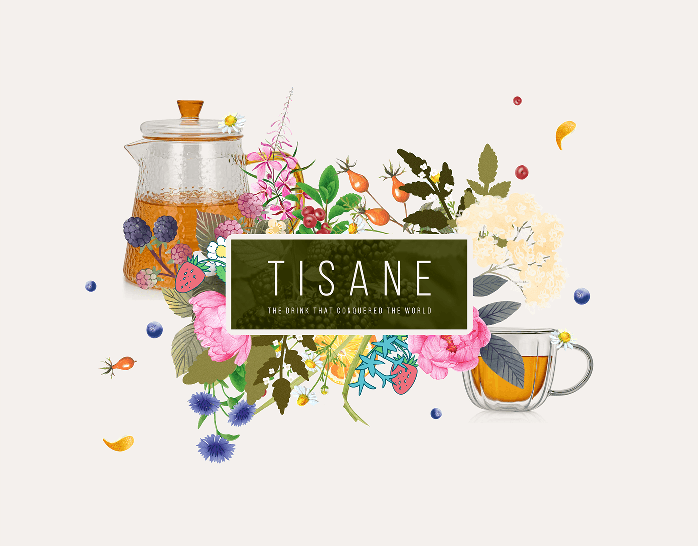Tisane packaging design concepts — Изображение №8 — Брендинг, Иллюстрация на Dprofile