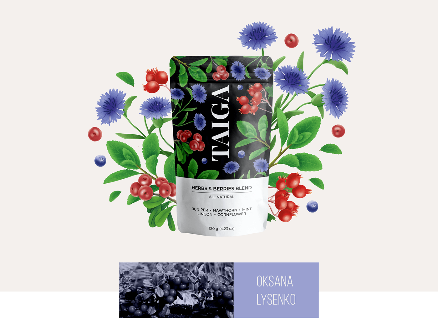 Tisane packaging design concepts — Изображение №3 — Брендинг, Иллюстрация на Dprofile