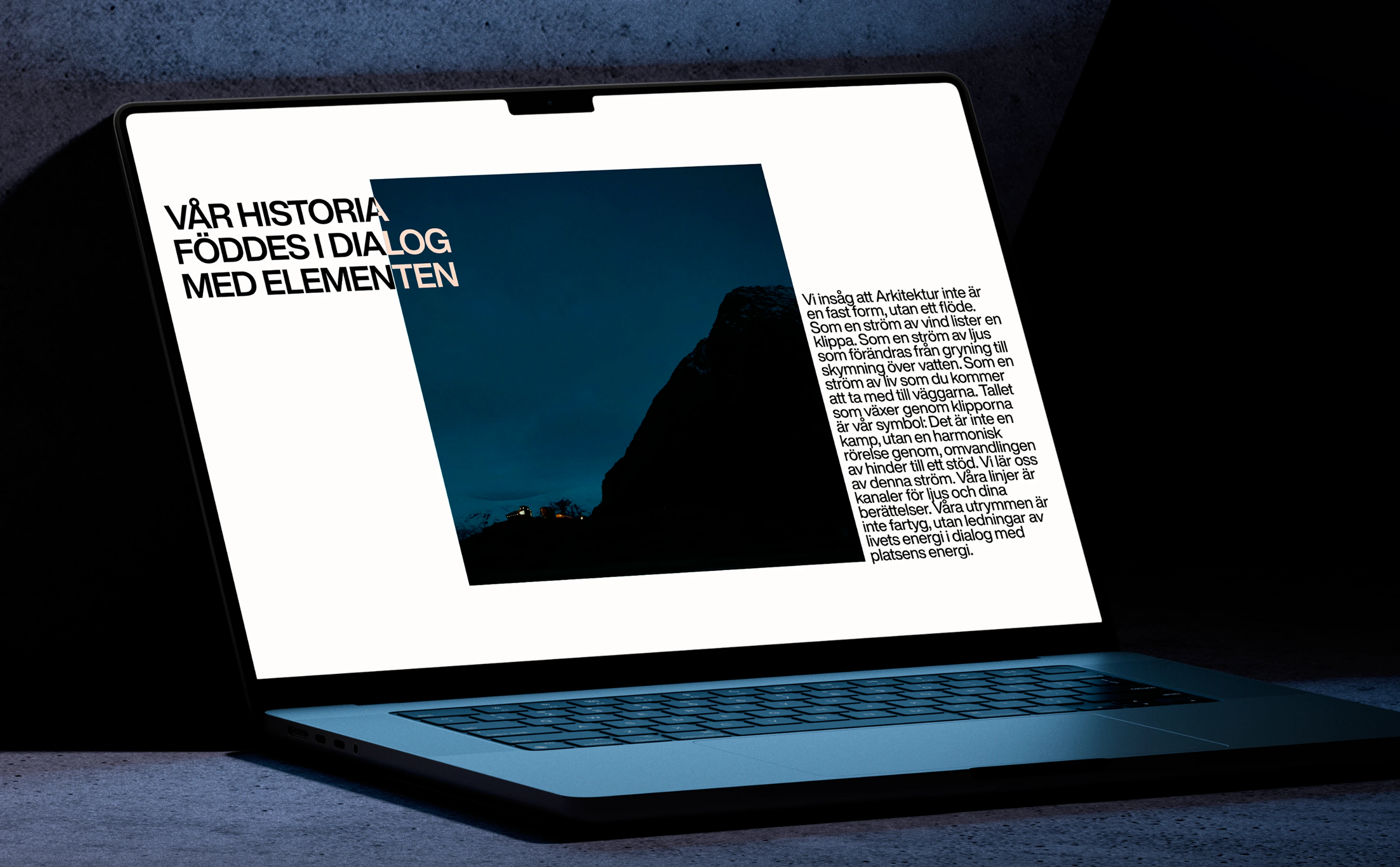 Skönhet | Corporate Website — Изображение №14 — Интерфейсы на Dprofile