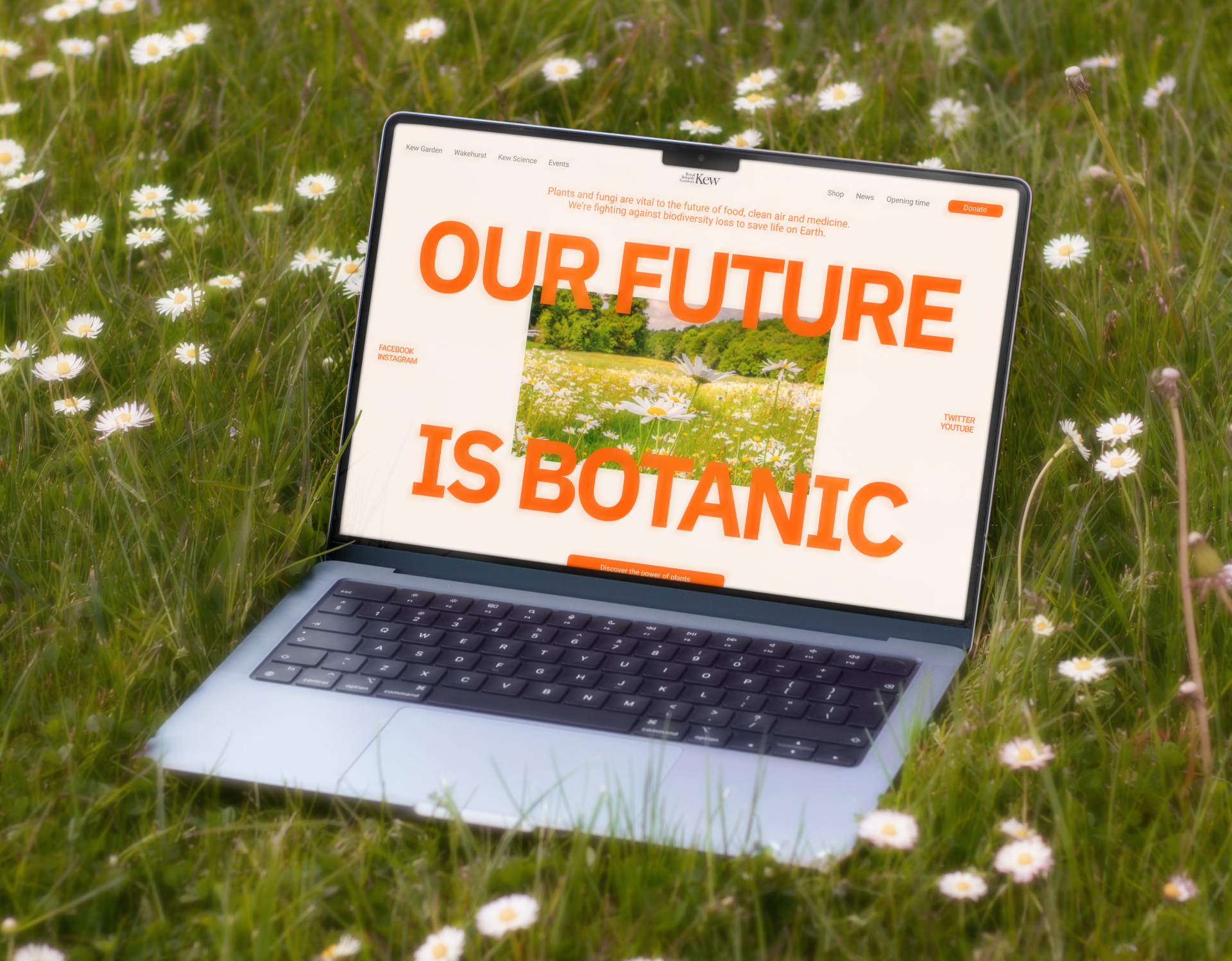 Kew Gardens|Landing page — Изображение №6 — Интерфейсы, Брендинг на Dprofile