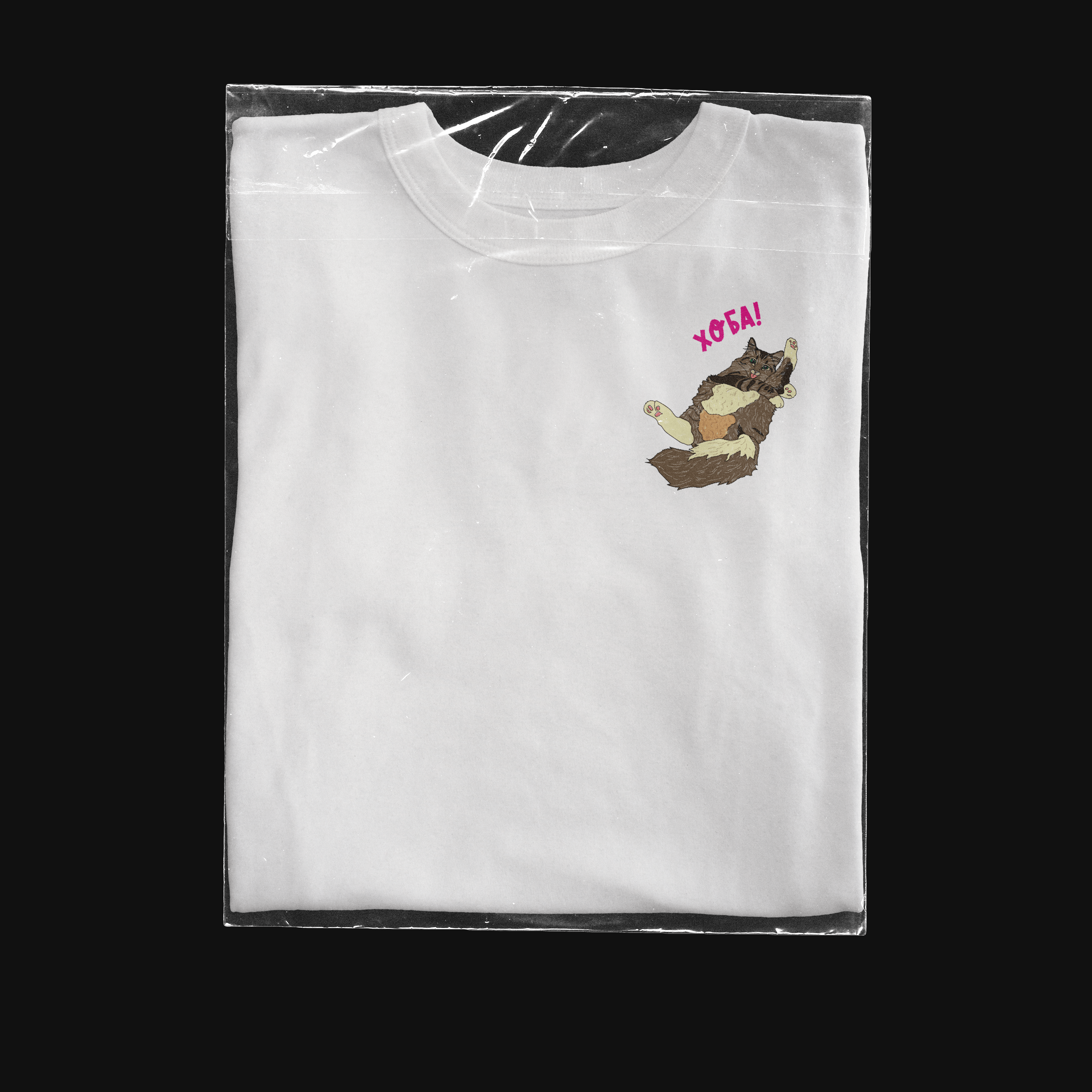 Дизайн футболки "Хоба!" — Изображение №4 — Брендинг, Иллюстрация на Dprofile