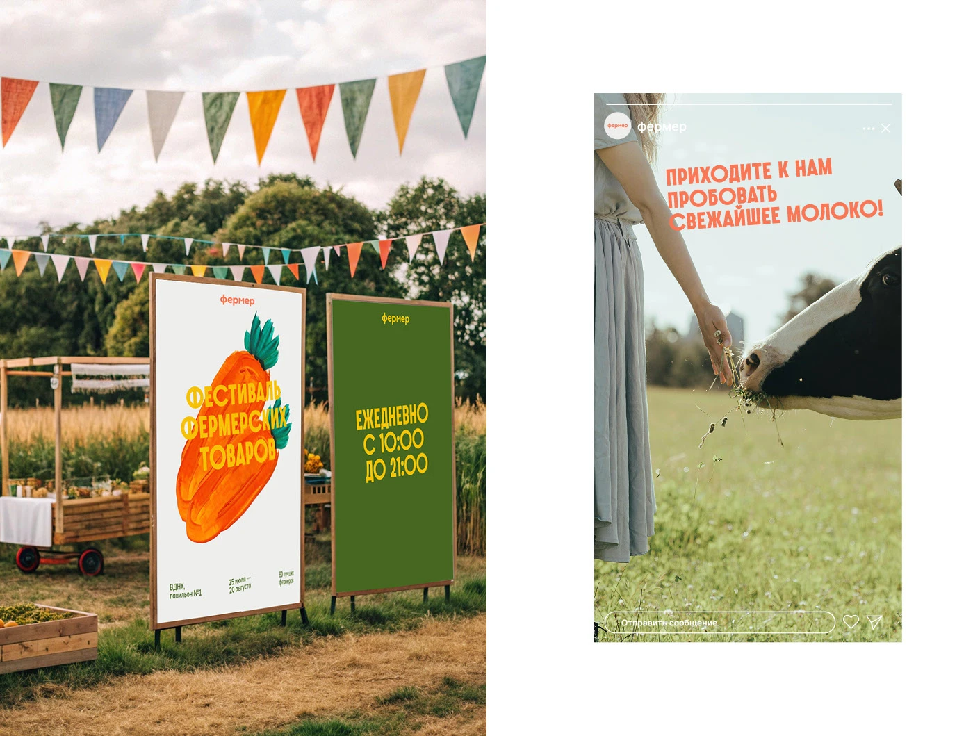 Logo | brand identity | farmer's festival — Изображение №4 — Брендинг на Dprofile