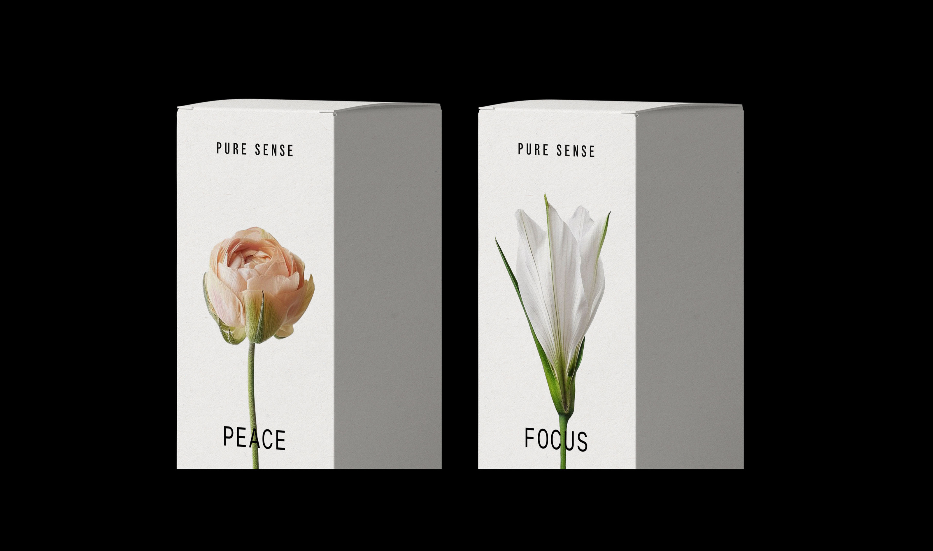 Packaging design | Logo | brand identity | perfumery — Изображение №7 — Брендинг на Dprofile