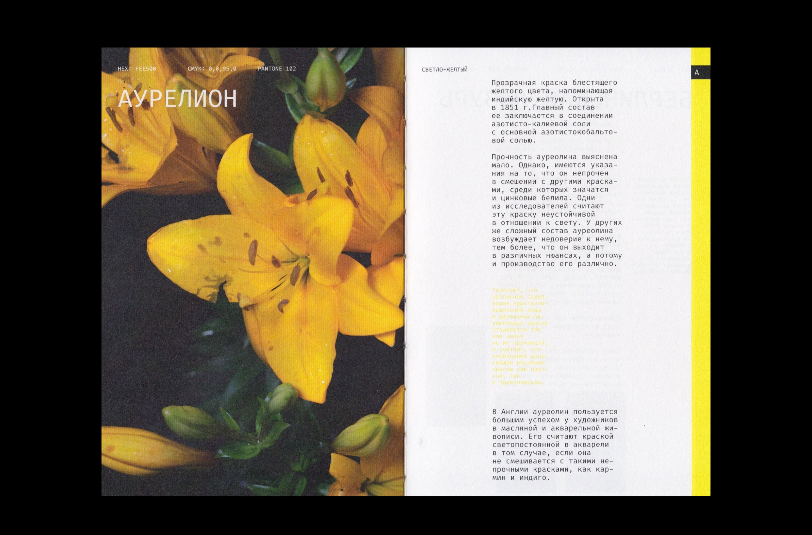Editorial design | book | alphabet of color — Изображение №7 — Брендинг, Графика на Dprofile