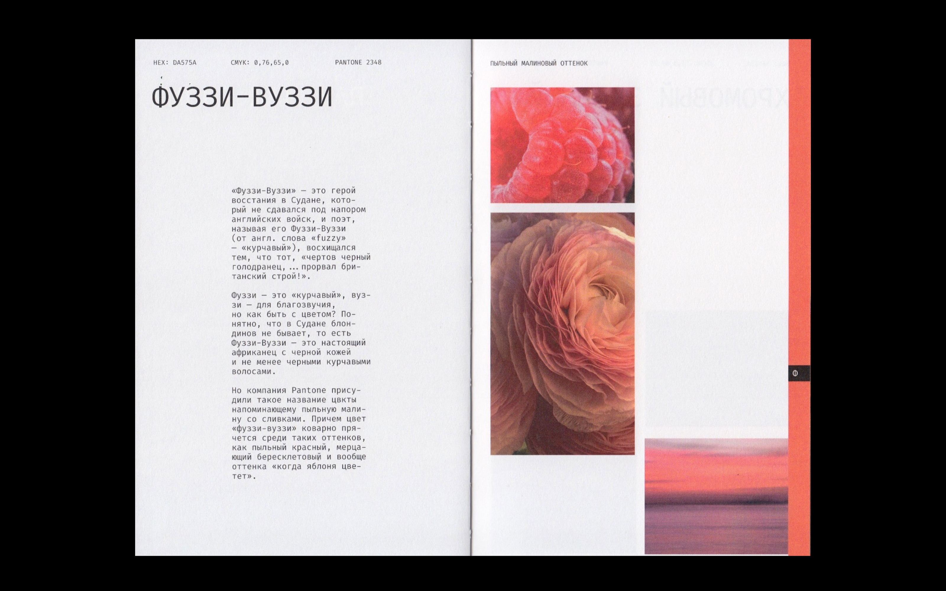 Editorial design | book | alphabet of color — Изображение №20 — Брендинг, Графика на Dprofile