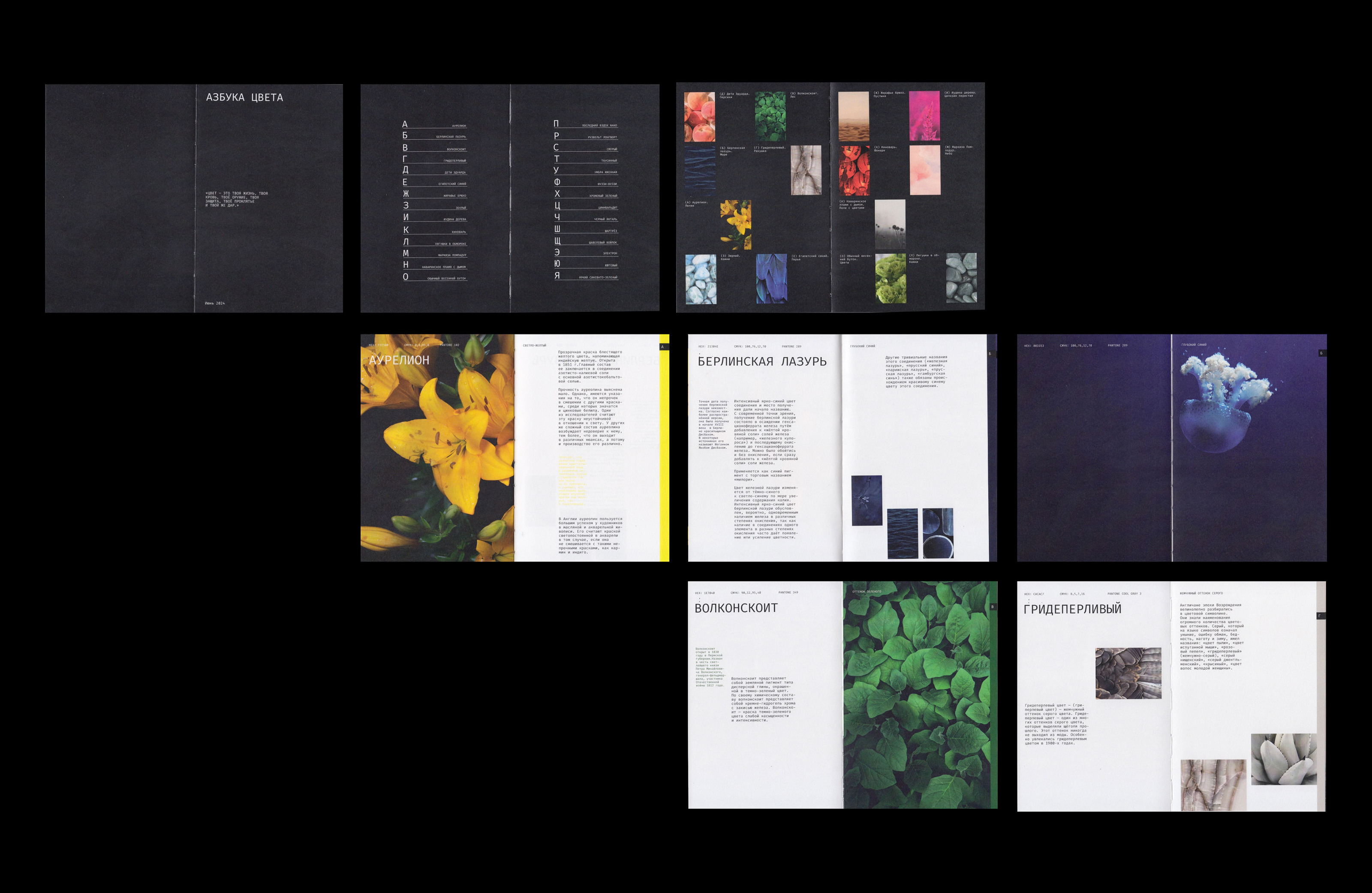 Editorial design | book | alphabet of color — Изображение №10 — Брендинг, Графика на Dprofile