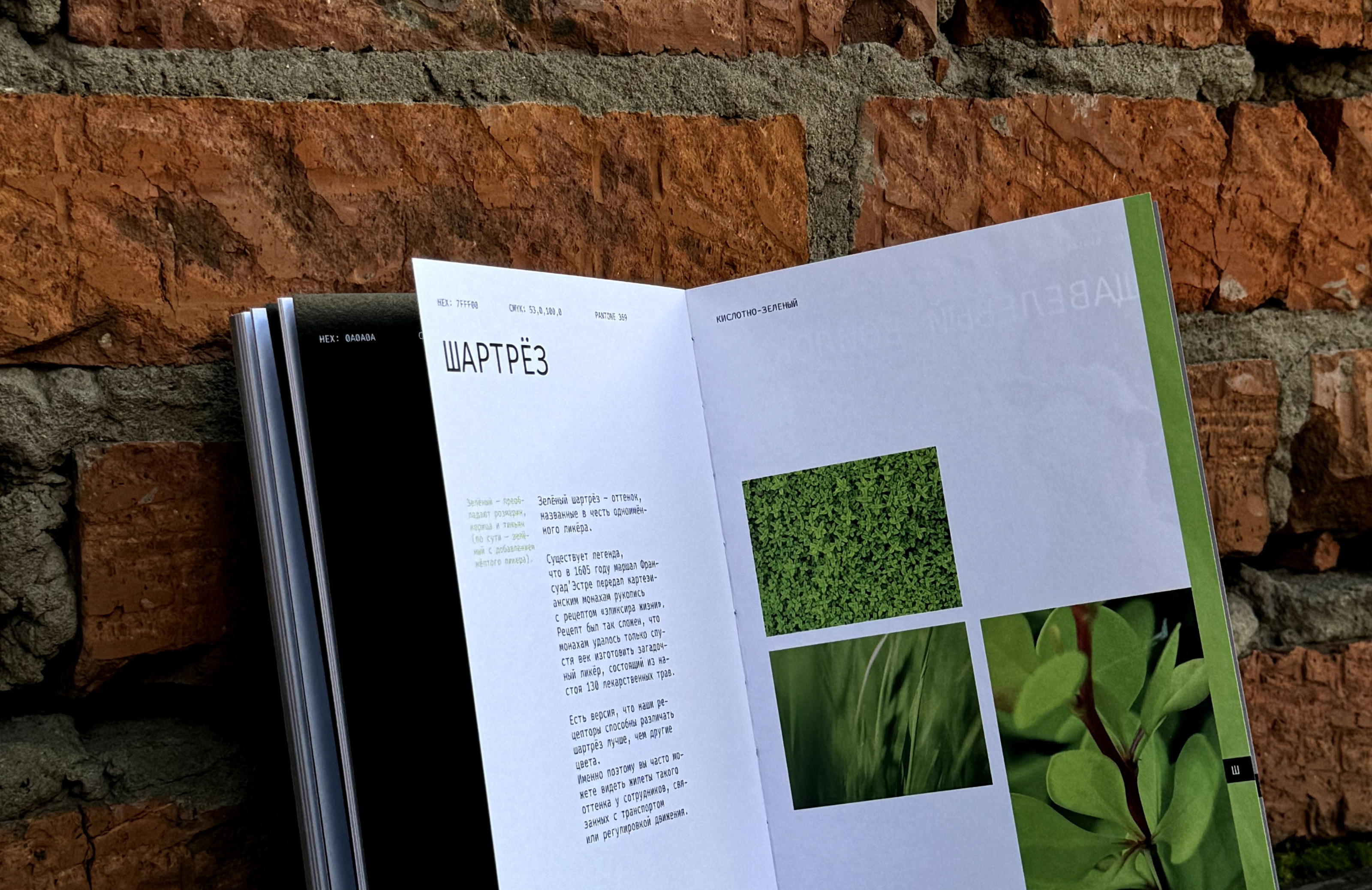 Editorial design | book | alphabet of color — Изображение №31 — Брендинг, Графика на Dprofile