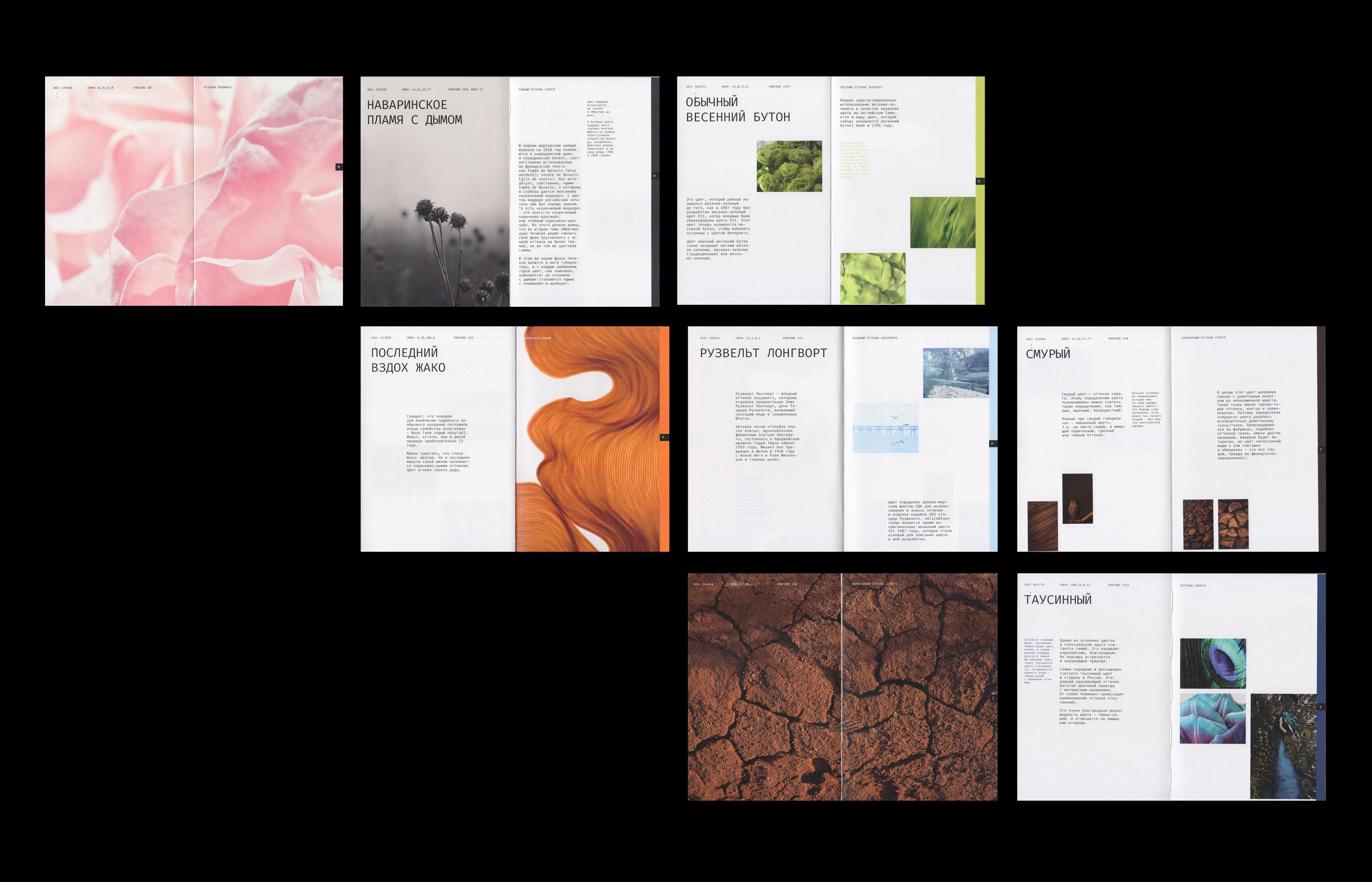 Editorial design | book | alphabet of color — Изображение №18 — Брендинг, Графика на Dprofile