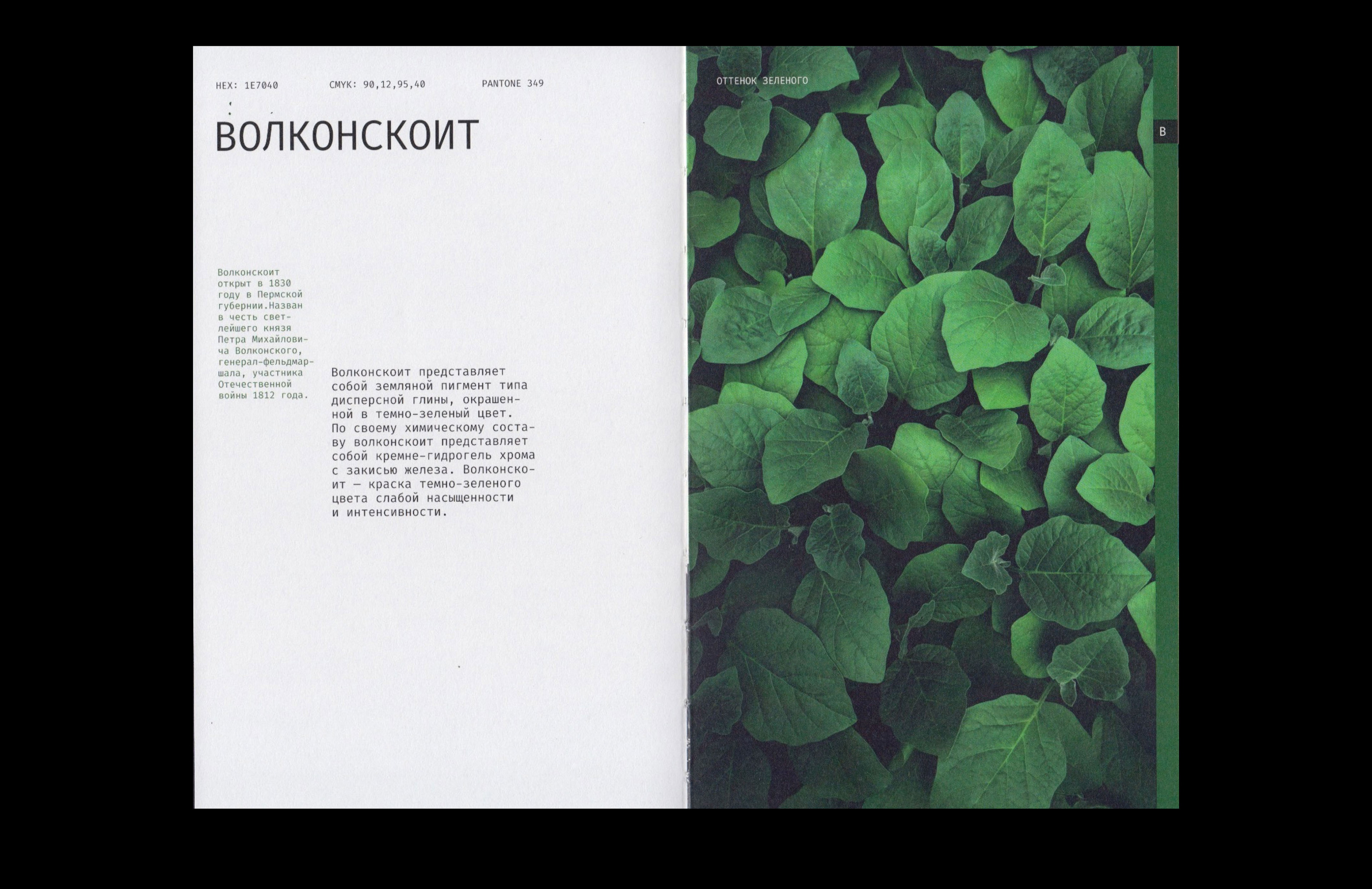 Editorial design | book | alphabet of color — Изображение №12 — Брендинг, Графика на Dprofile