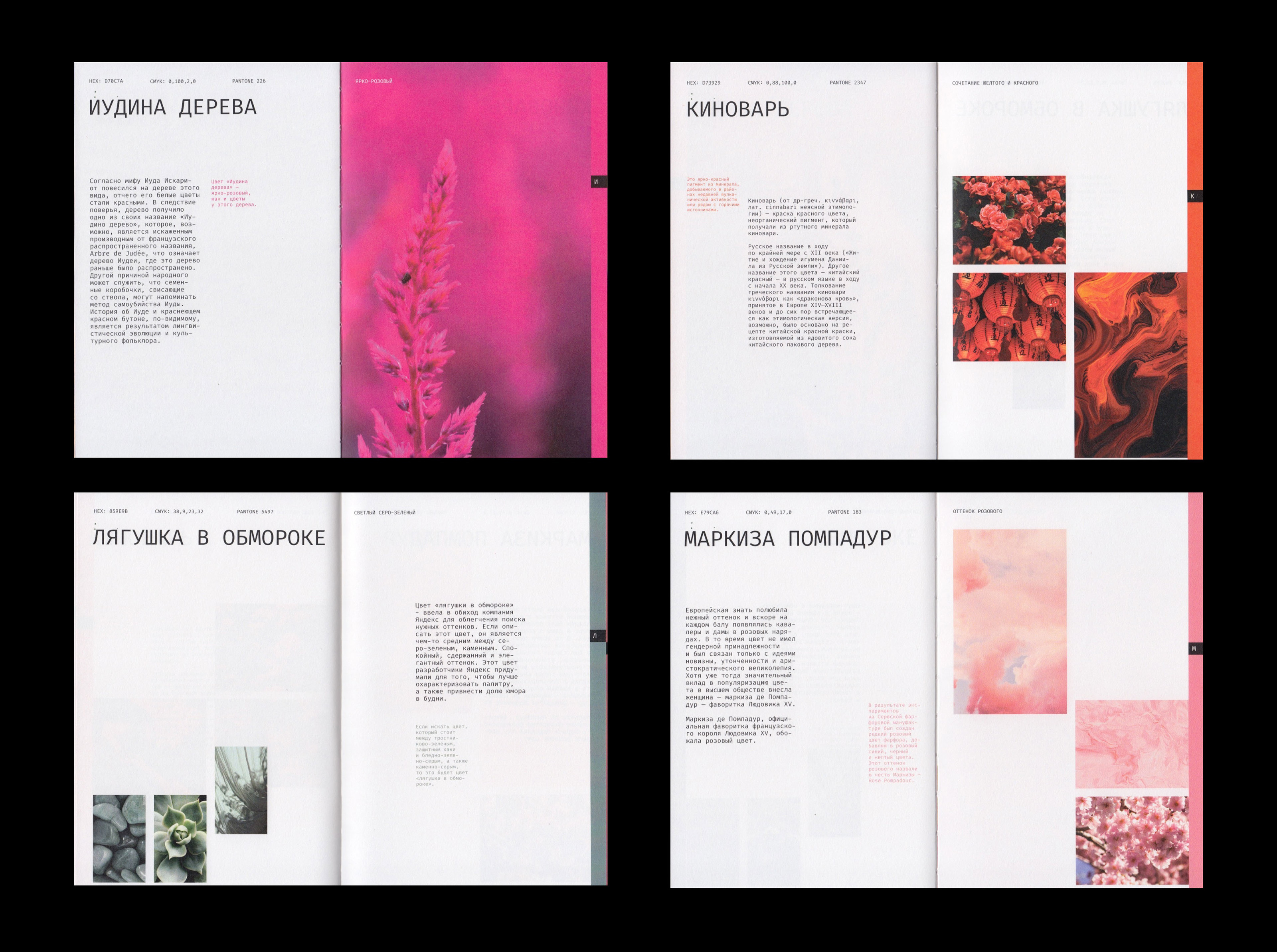Editorial design | book | alphabet of color — Изображение №17 — Брендинг, Графика на Dprofile