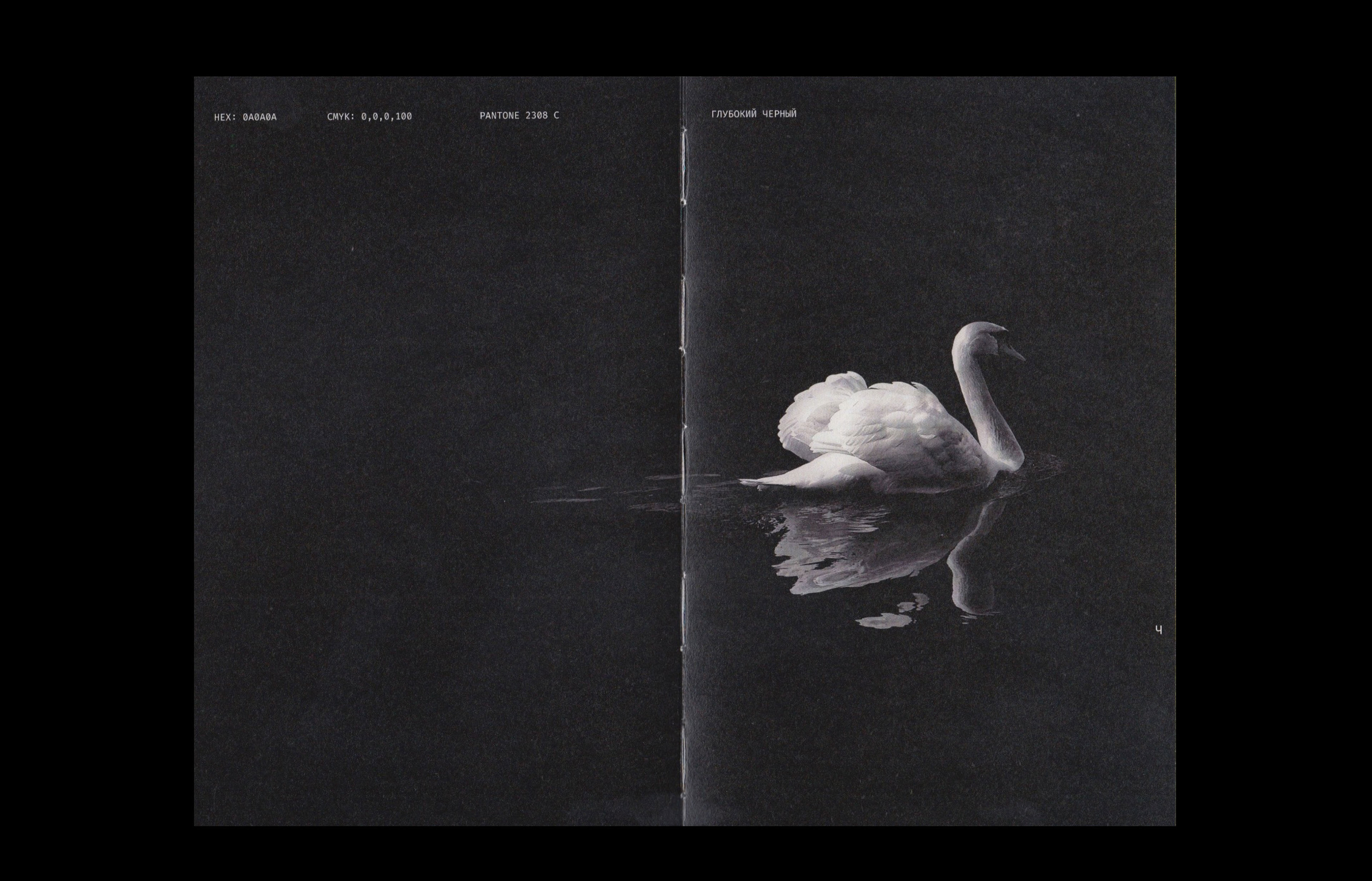 Editorial design | book | alphabet of color — Изображение №23 — Брендинг, Графика на Dprofile