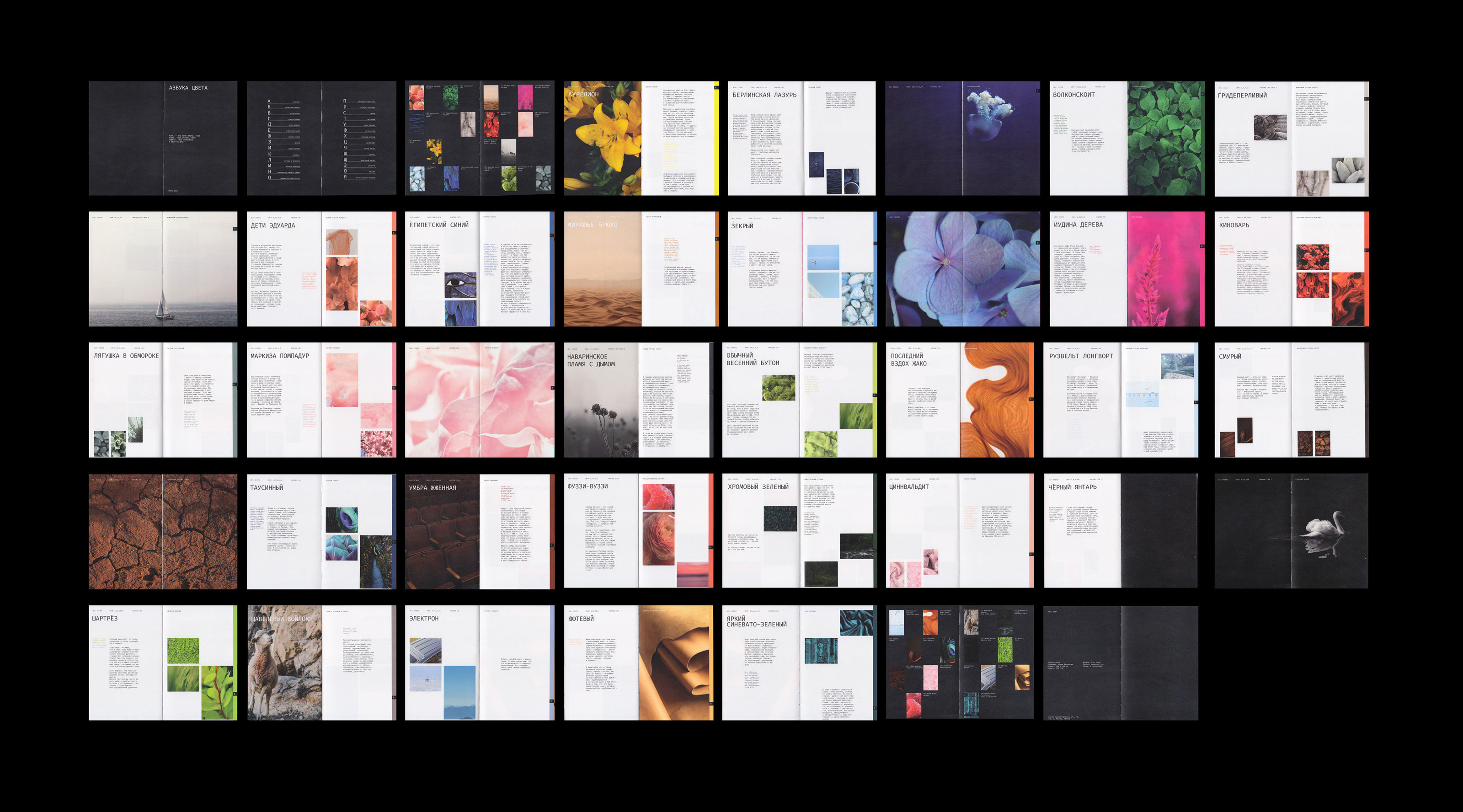 Editorial design | book | alphabet of color — Изображение №3 — Брендинг, Графика на Dprofile