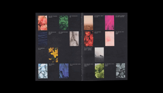 Editorial design | book | alphabet of color — Изображение №6 — Брендинг, Графика на Dprofile