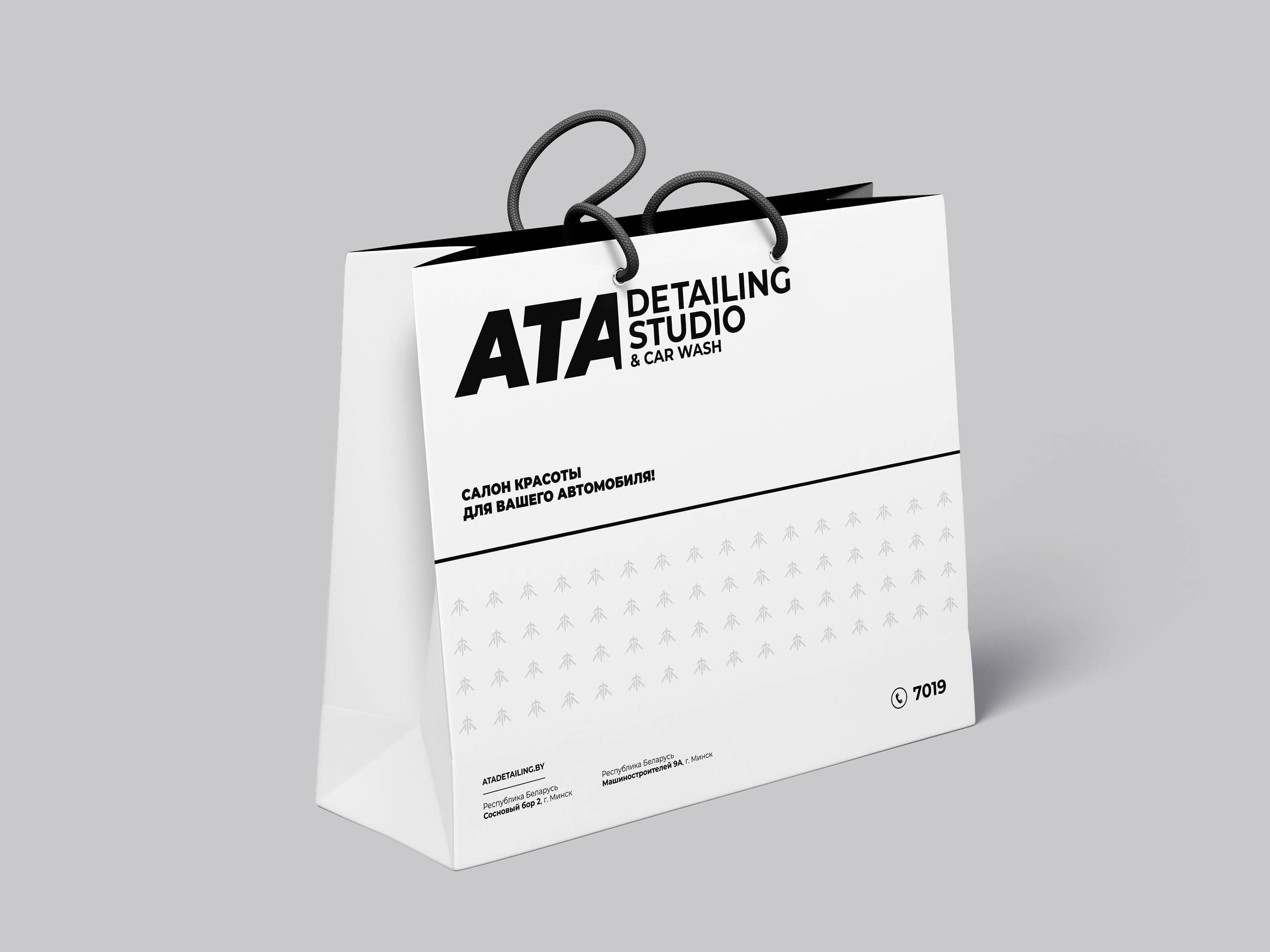 ATA Detailing Studio — Изображение №3 — Интерфейсы, Брендинг, Графика на Dprofile
