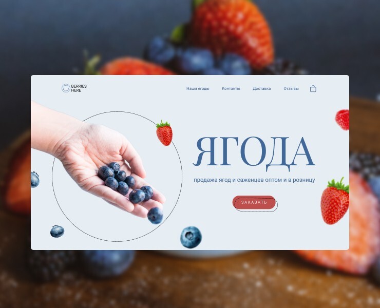 Лендинг для продажи ягод — Интерфейсы на Dprofile