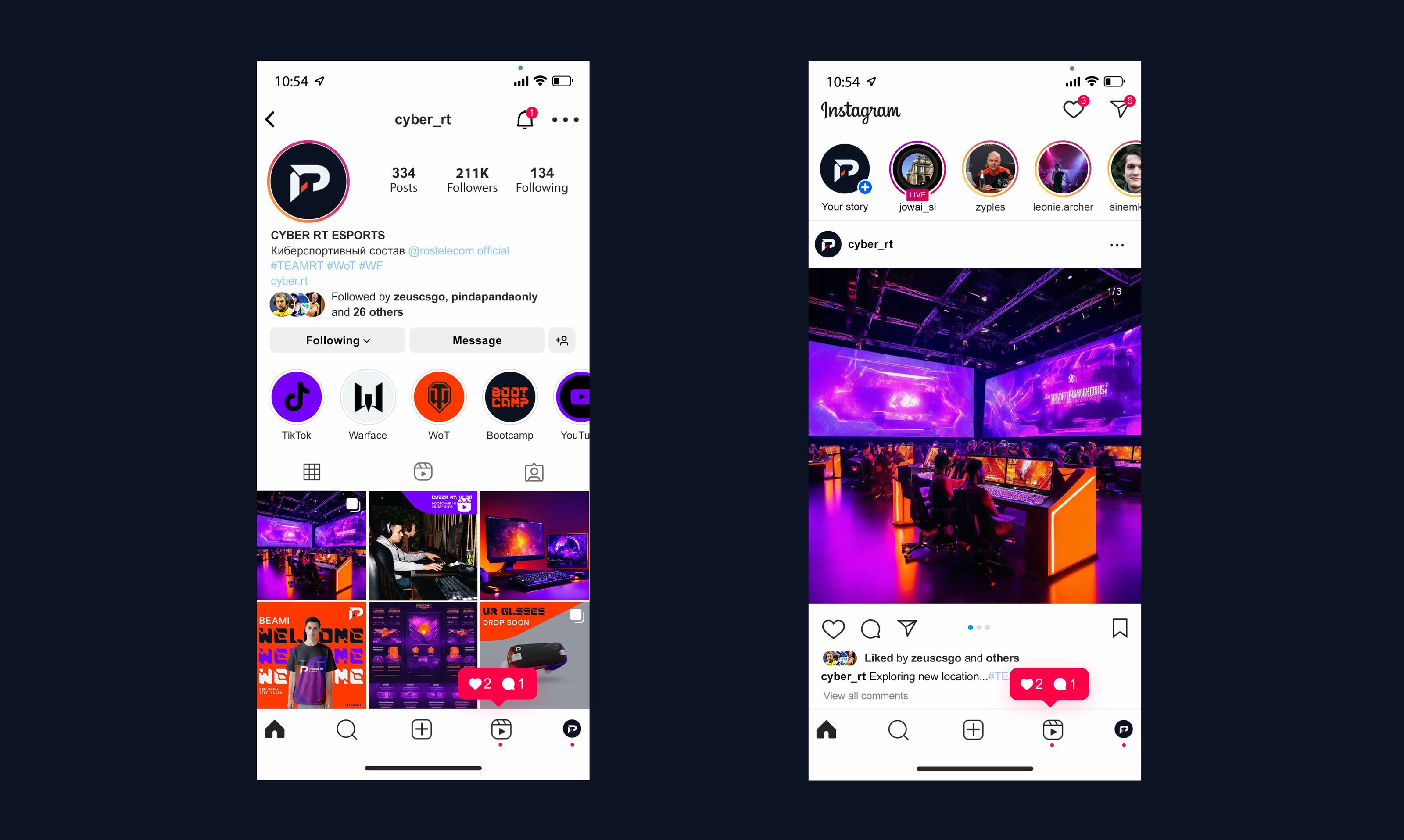 Фирменный стиль киберспортивного состава "Ростелеком" — Изображение №17 — Брендинг, Графика на Dprofile