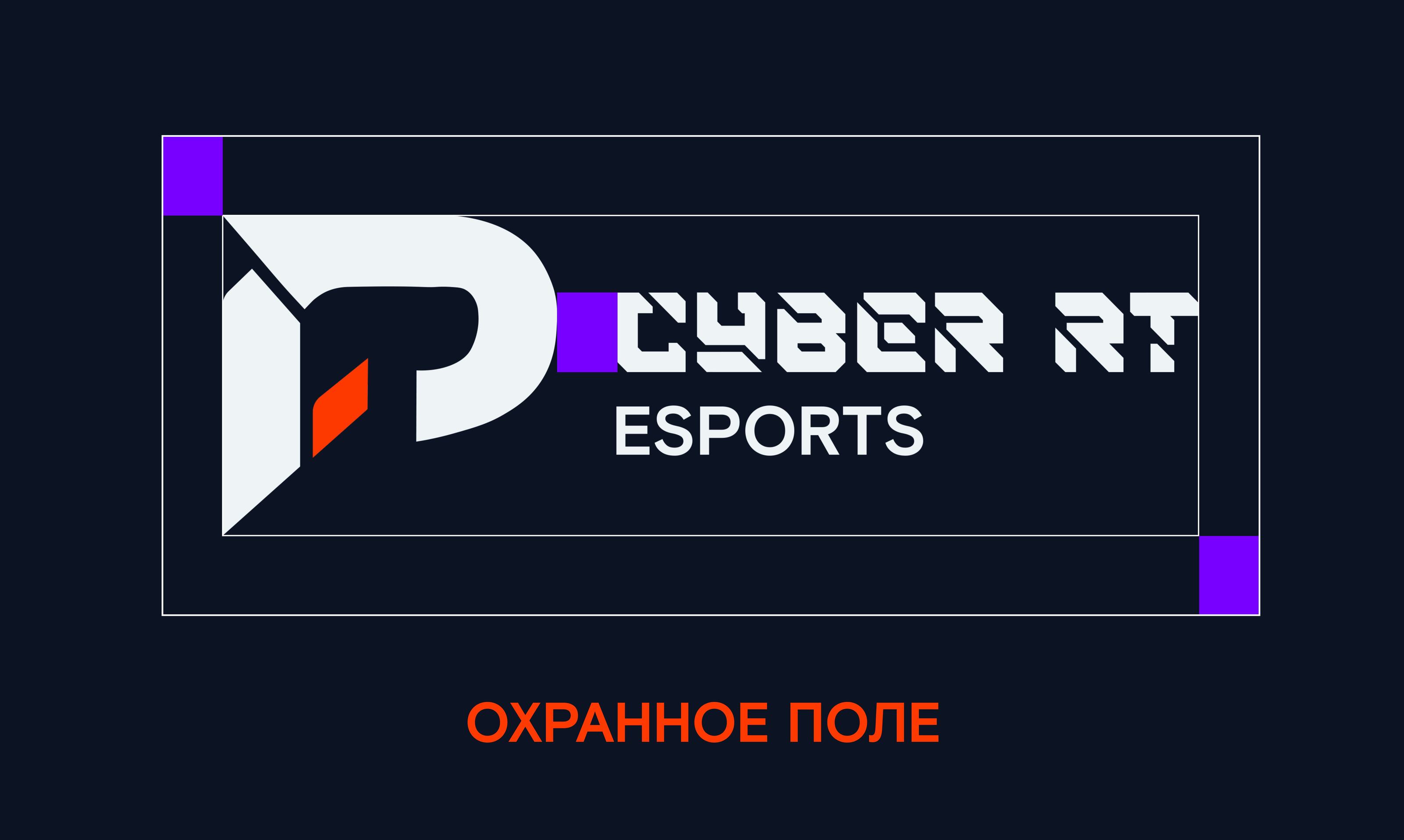 Фирменный стиль киберспортивного состава "Ростелеком" — Изображение №7 — Брендинг, Графика на Dprofile