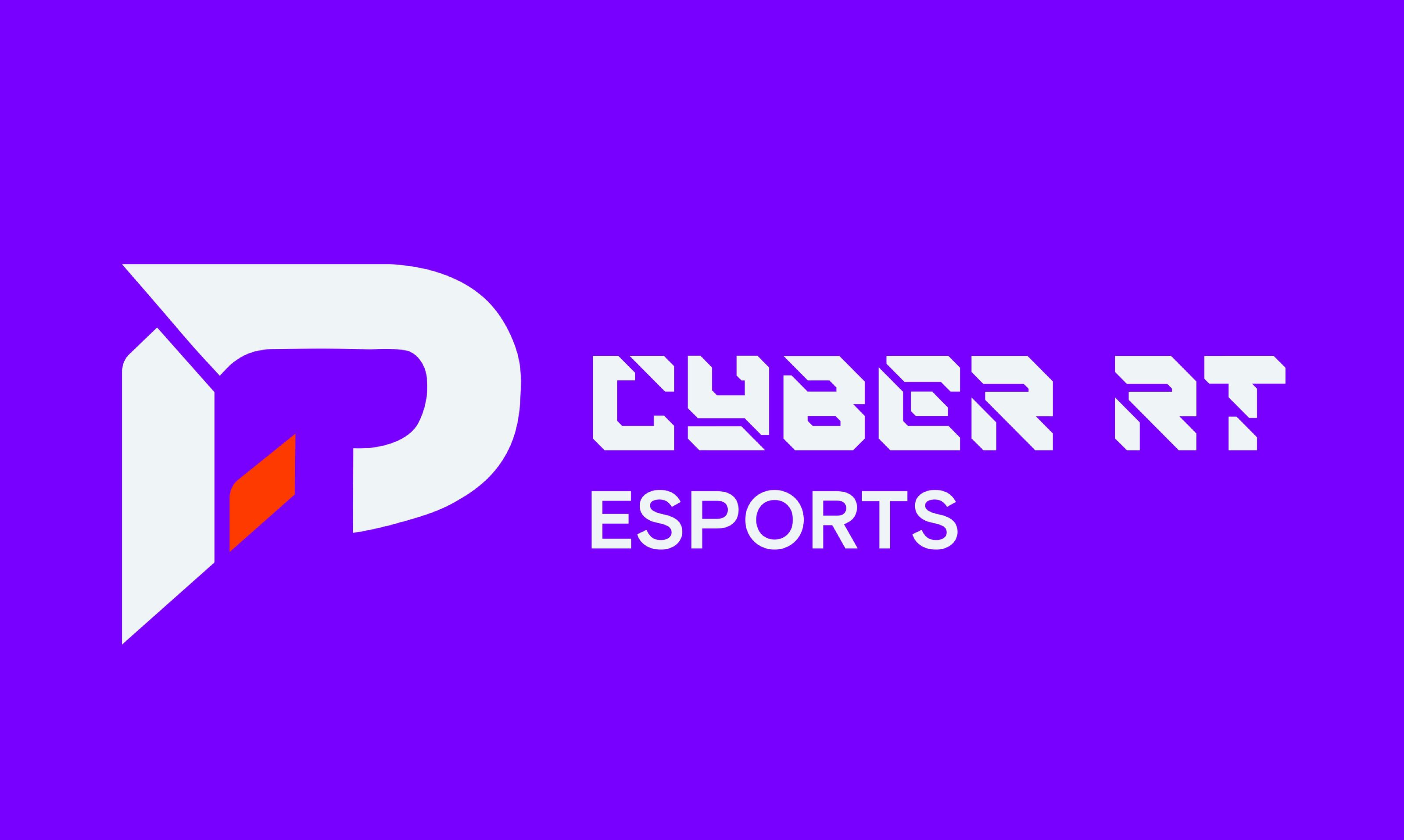 Фирменный стиль киберспортивного состава "Ростелеком" — Изображение №2 — Брендинг, Графика на Dprofile