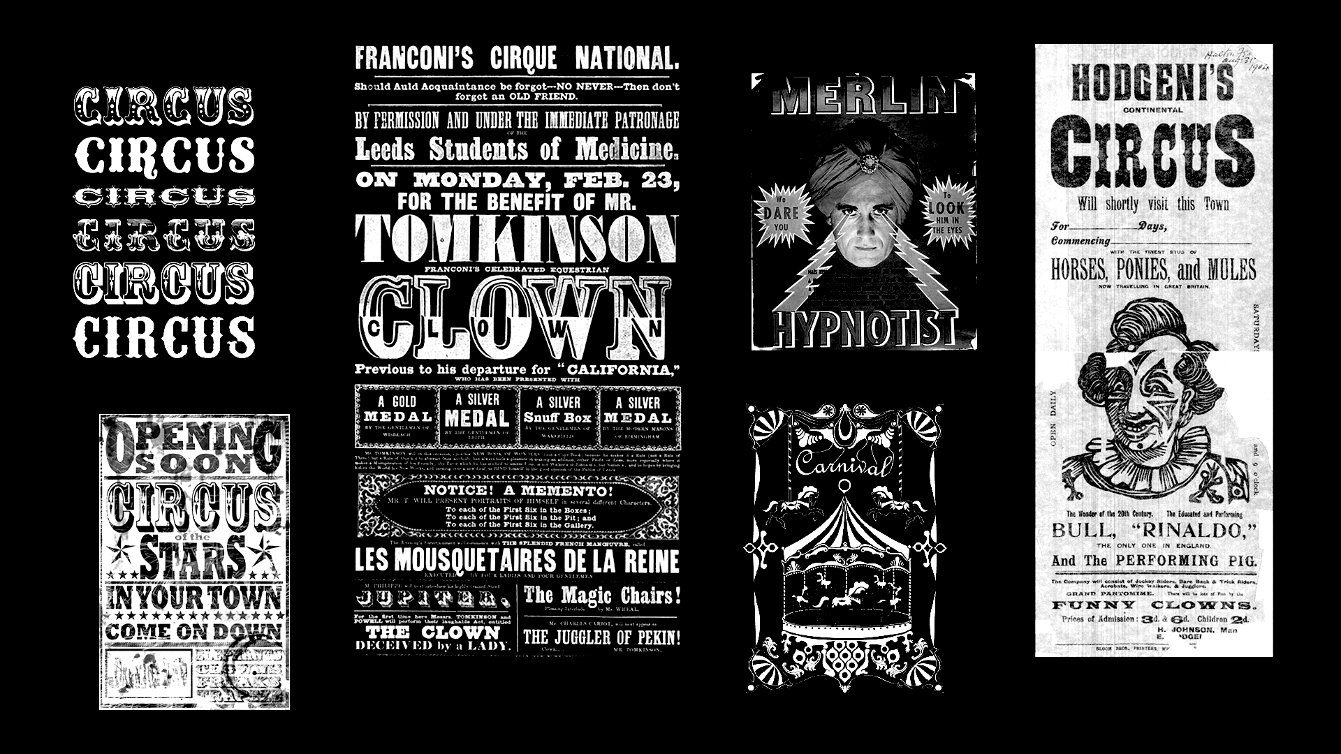 Dark Carnival Festival — Изображение №3 — Брендинг, Иллюстрация на Dprofile