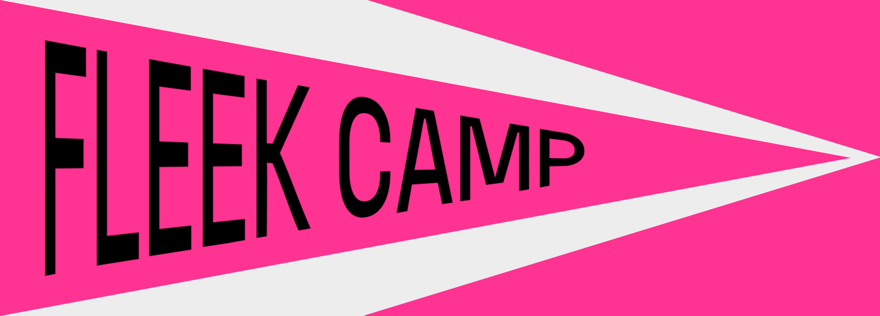 Fleek Camp — Изображение №2 — Брендинг на Dprofile