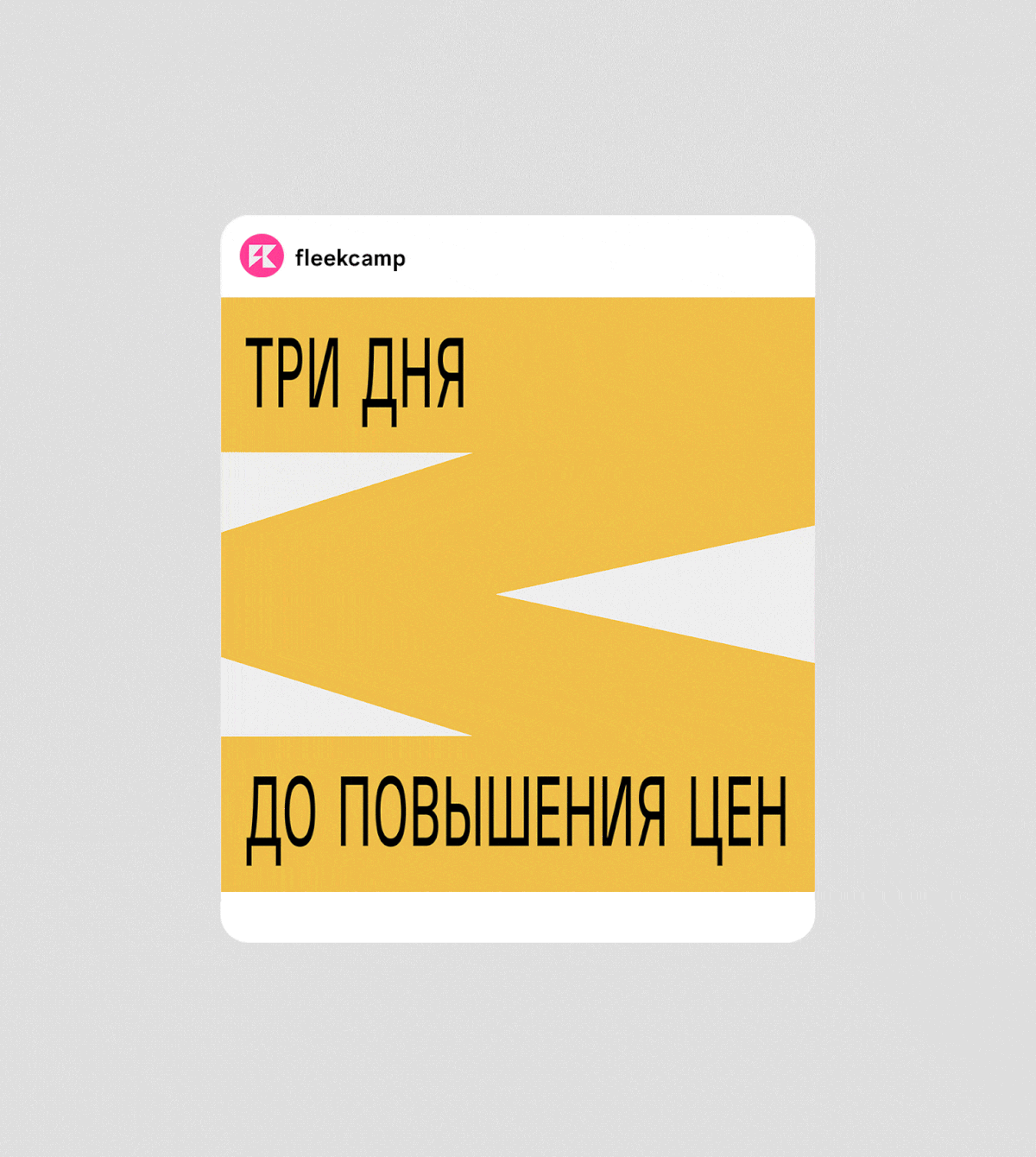 Fleek Camp — Изображение №8 — Брендинг на Dprofile