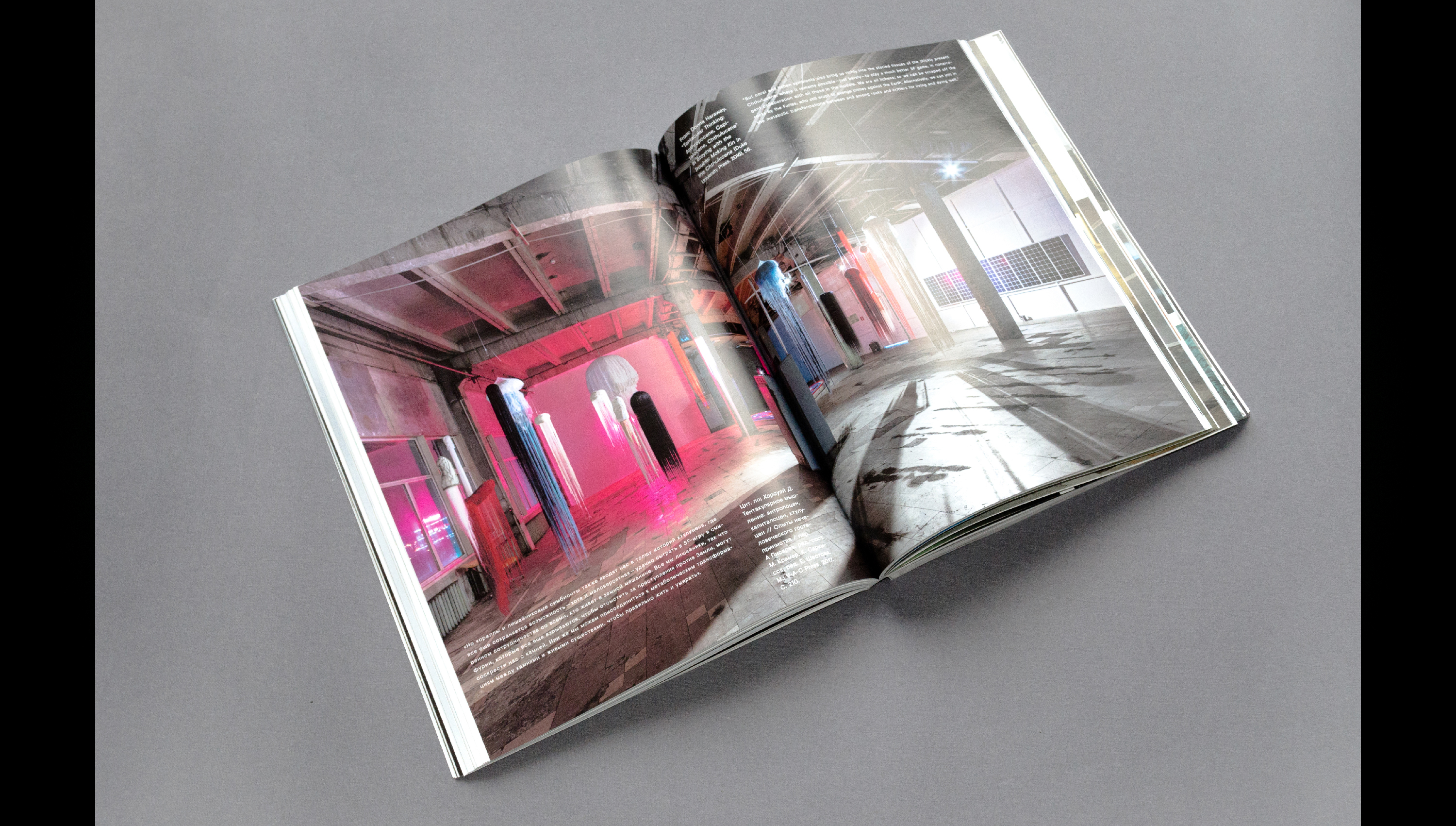 CATALOGUE OF THE 5TH URAL BIENNIAL — Изображение №22 — Брендинг, Графика на Dprofile