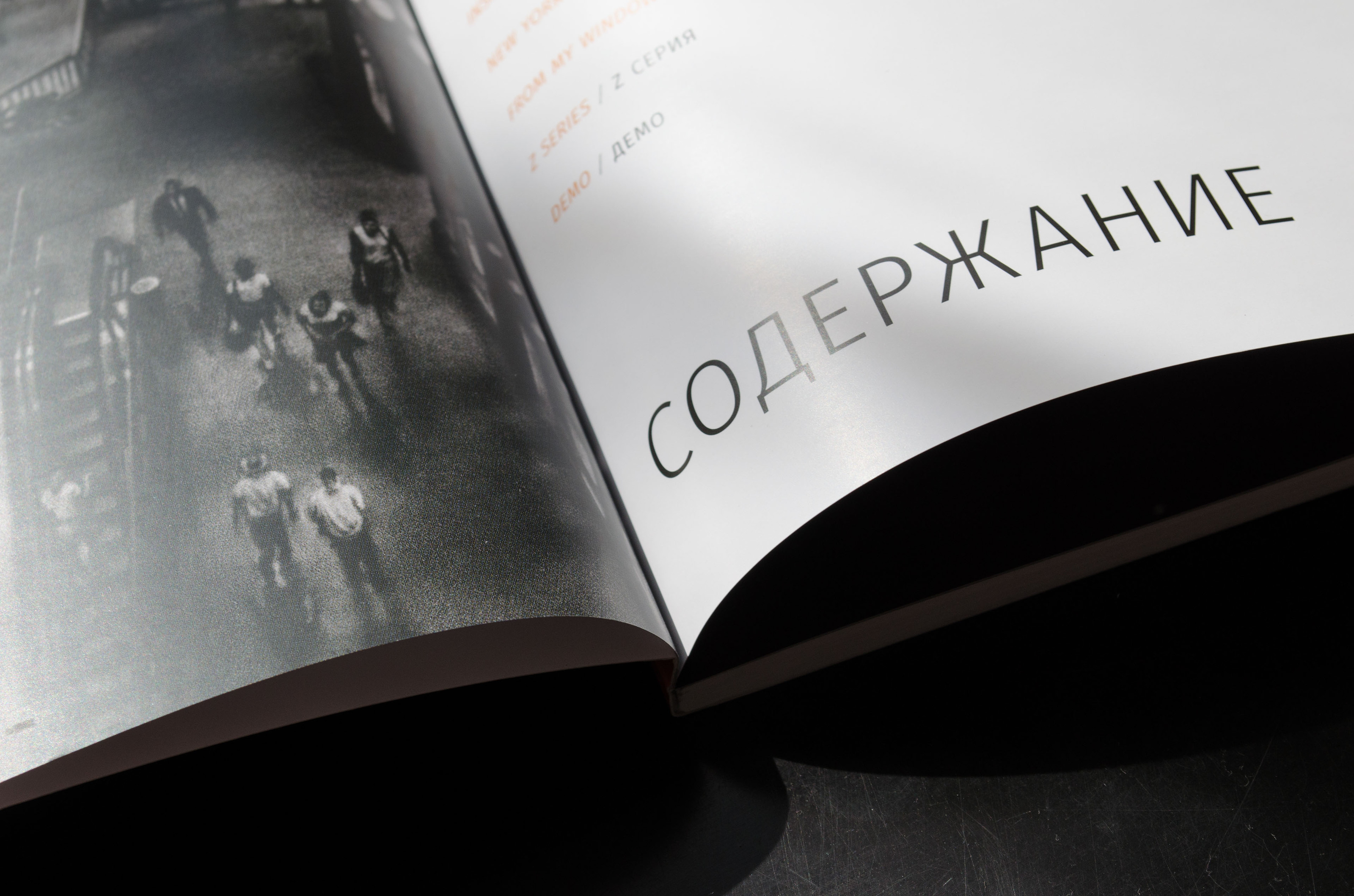 Каталог мастера меццо-тинто Арта Вергера — Изображение №5 — Брендинг, Графика на Dprofile