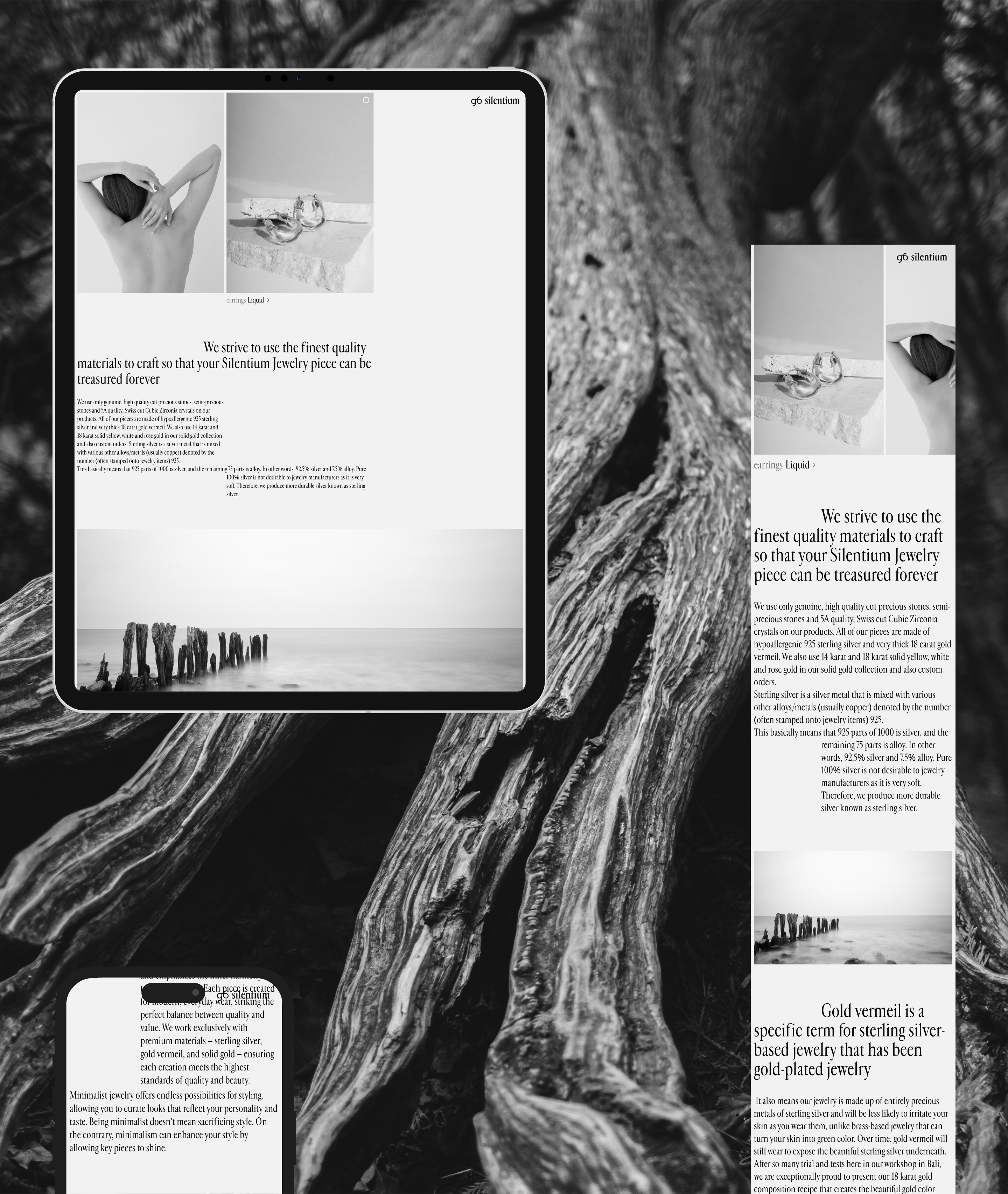 Silentium | Ювелирный бренд — Изображение №5 — Интерфейсы, Брендинг на Dprofile