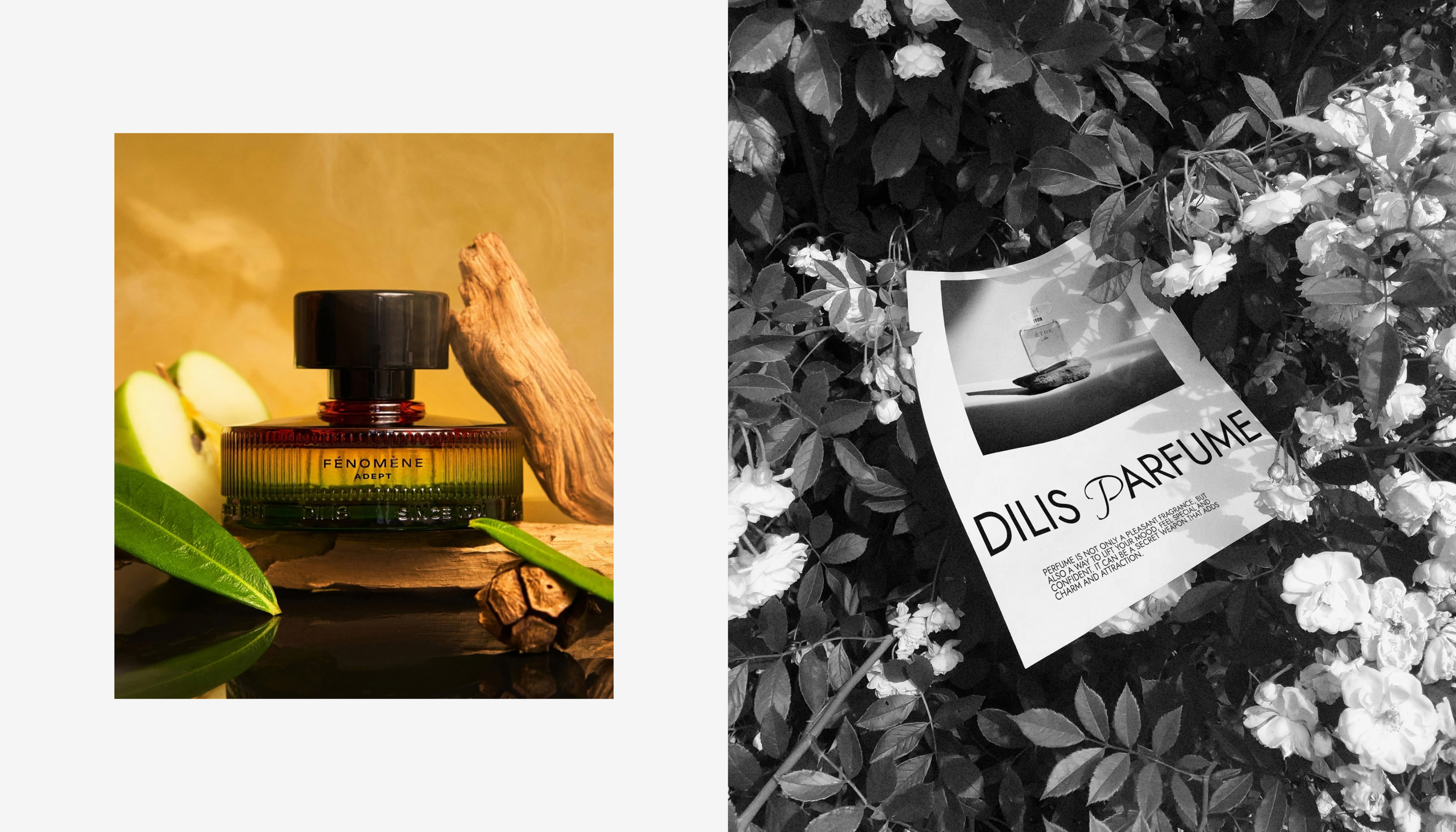 DILIS | E-Commerce redesign — Изображение №12 — Интерфейсы на Dprofile