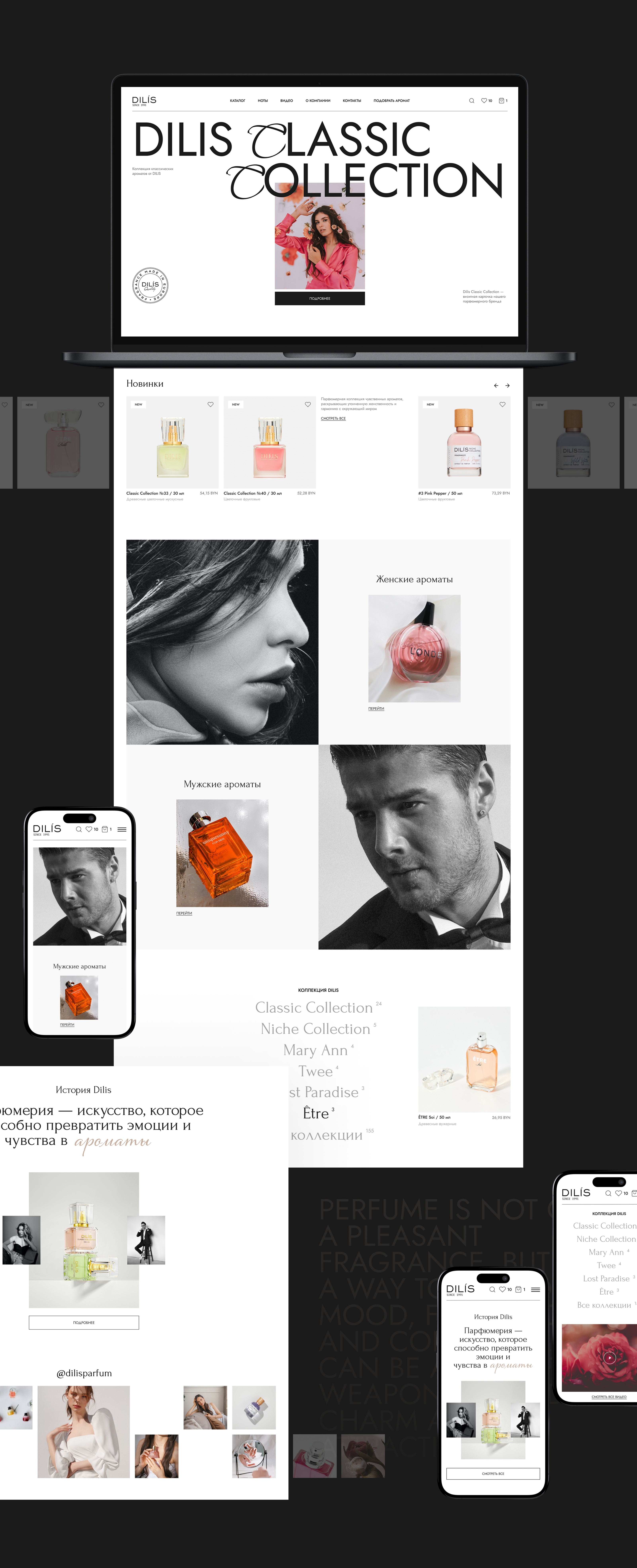 DILIS | E-Commerce redesign — Изображение №3 — Интерфейсы на Dprofile