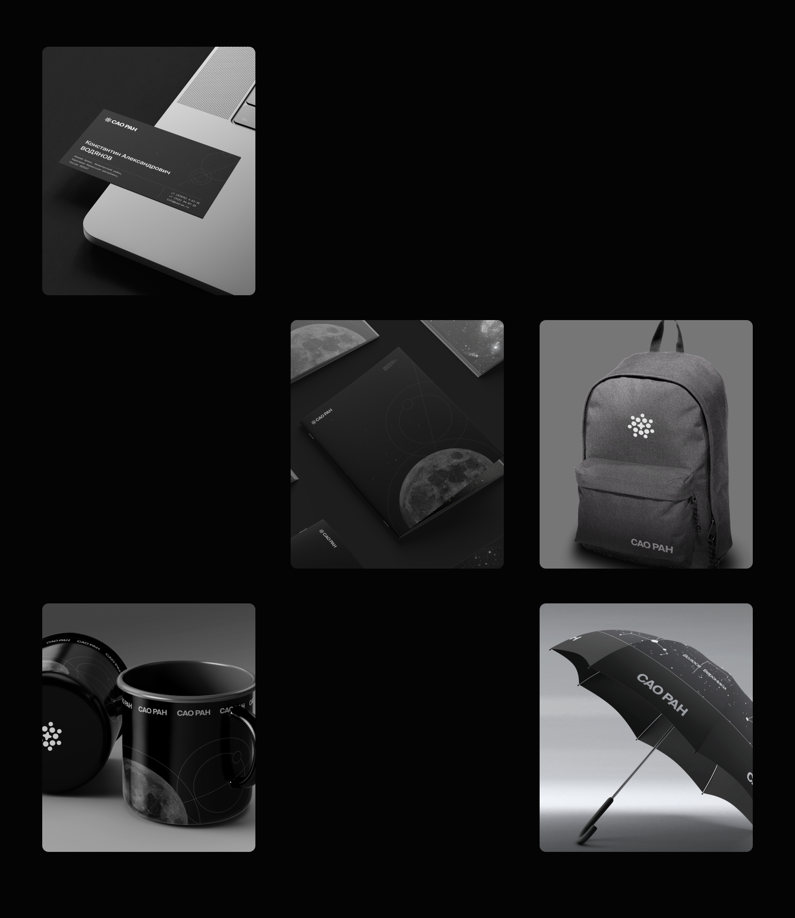 САО «РАН» — Изображение №3 — Интерфейсы, Брендинг на Dprofile