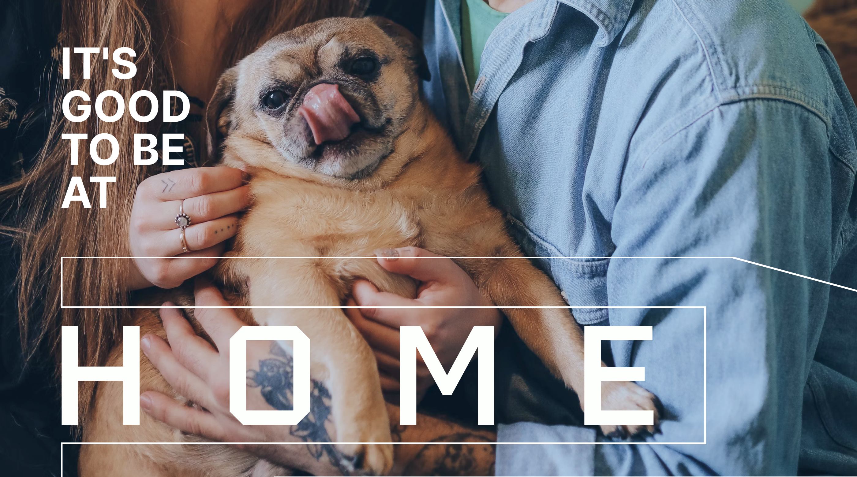 HOME 2 HOME properties - новый логотип — Изображение №11 — Брендинг на Dprofile