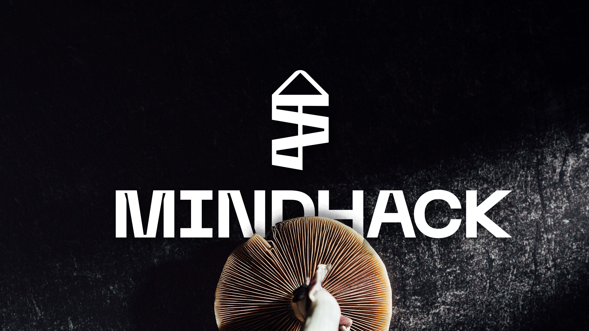 Mindhack — Изображение №1 — Брендинг на Dprofile