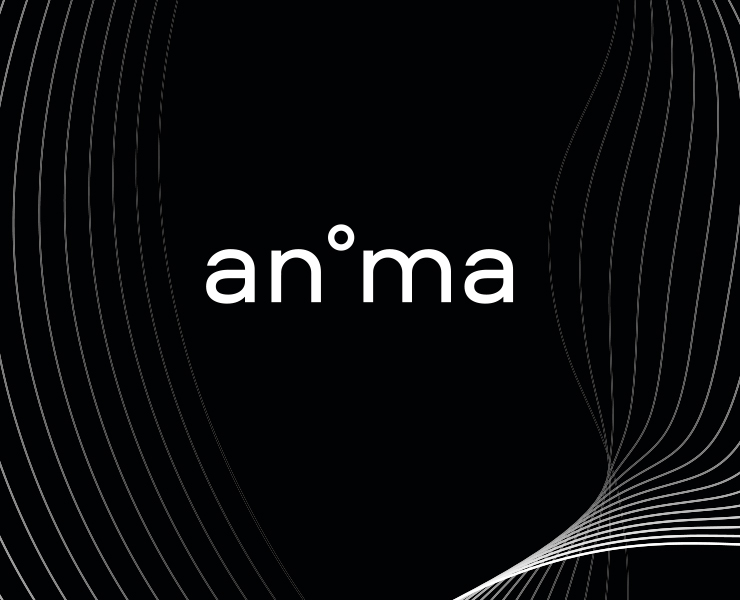 an°ma — Брендинг на Dprofile