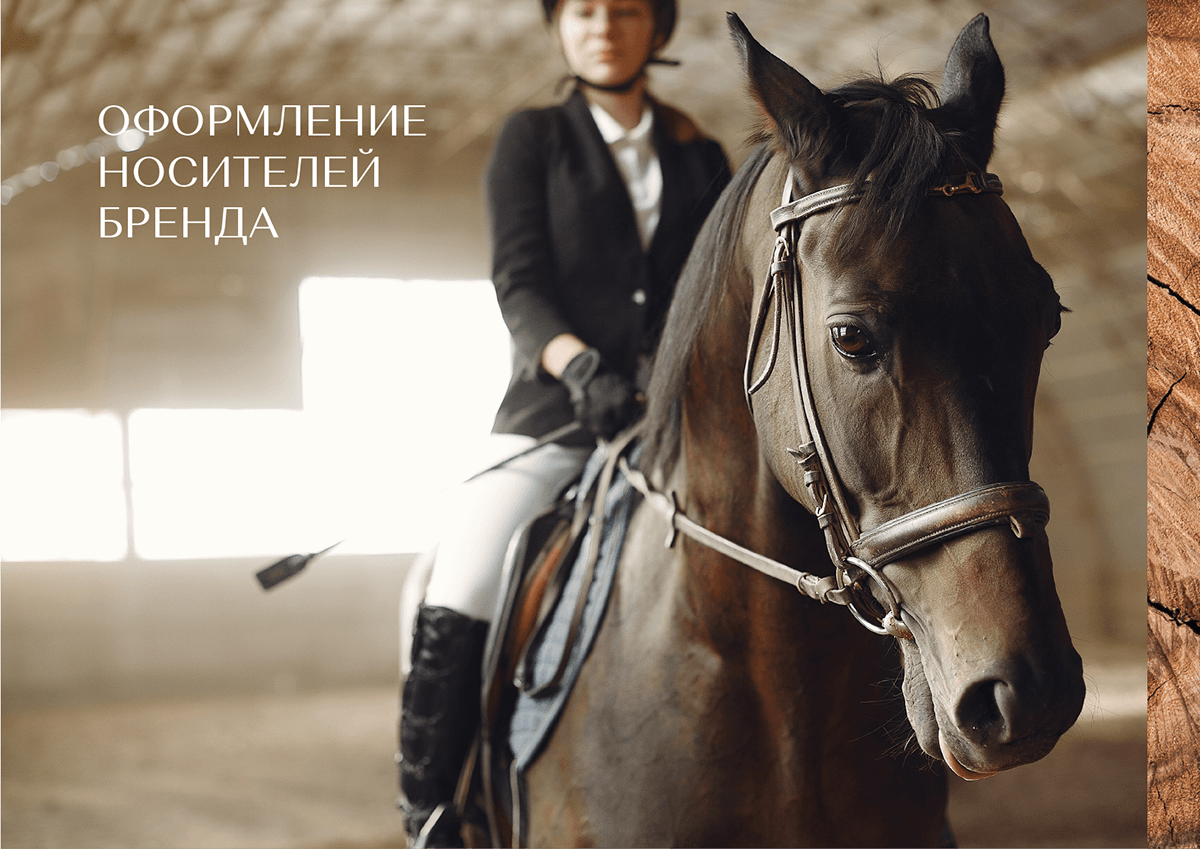 Эквилон | Брендбук | Логотип | Фирстиль | Брендинг — Изображение №15 — Брендинг на Dprofile