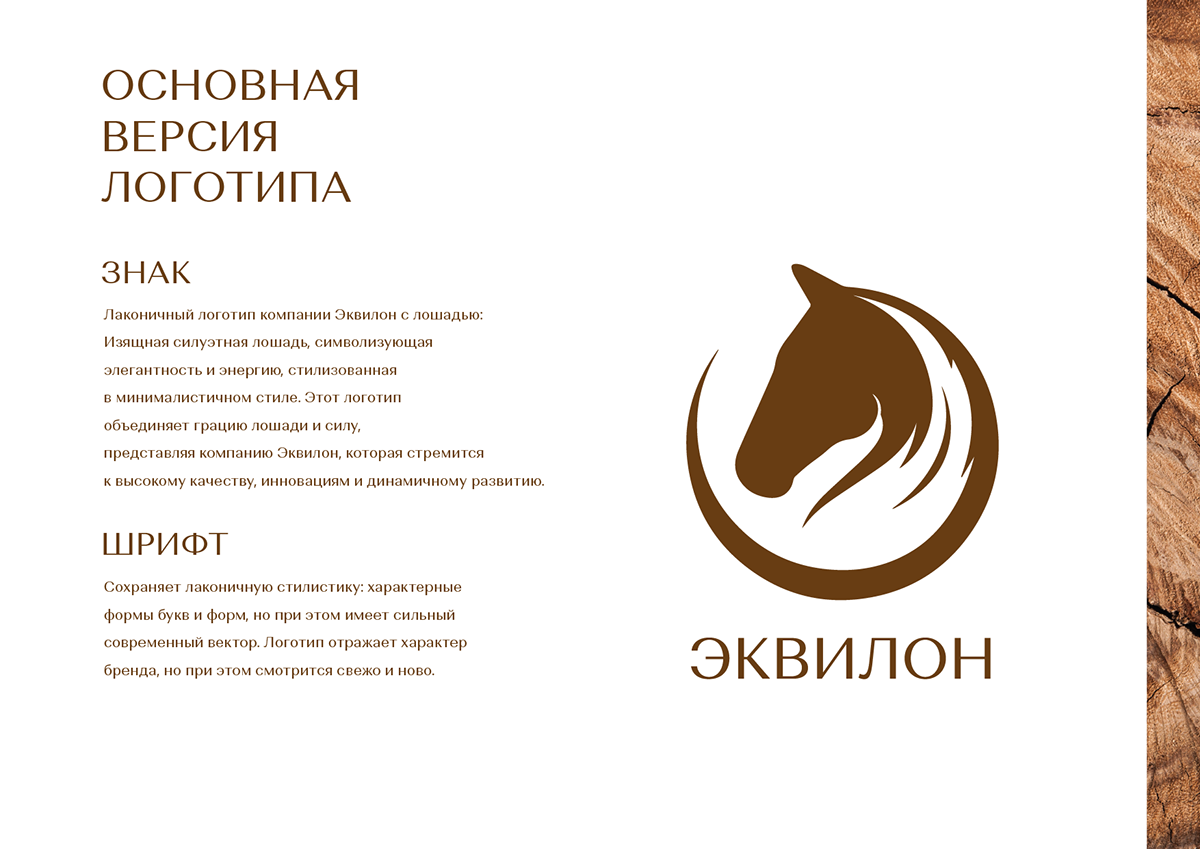 Эквилон | Брендбук | Логотип | Фирстиль | Брендинг — Изображение №7 — Брендинг на Dprofile