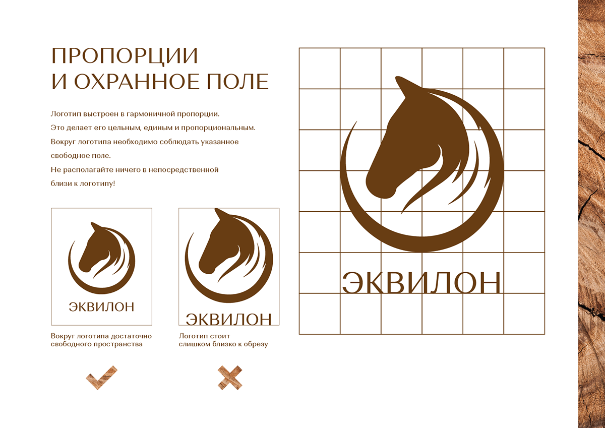 Эквилон | Брендбук | Логотип | Фирстиль | Брендинг — Изображение №8 — Брендинг на Dprofile