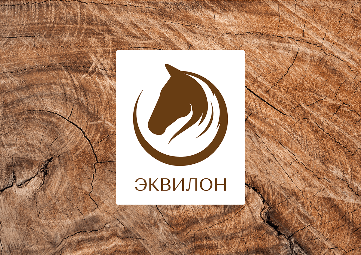 Эквилон | Брендбук | Логотип | Фирстиль | Брендинг — Изображение №1 — Брендинг на Dprofile