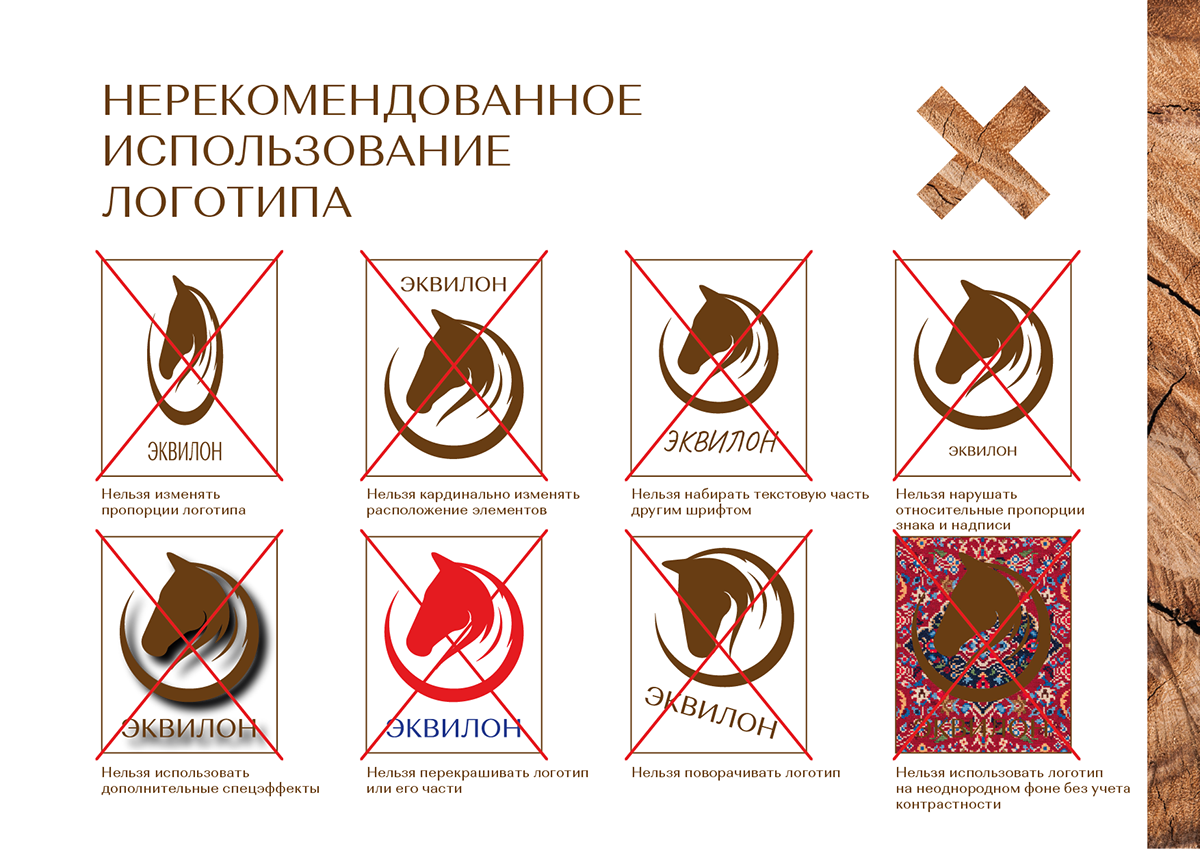 Эквилон | Брендбук | Логотип | Фирстиль | Брендинг — Изображение №14 — Брендинг на Dprofile