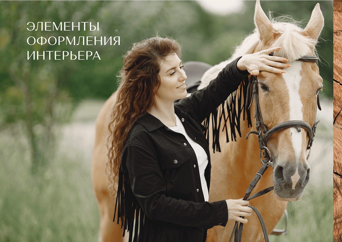 Эквилон | Брендбук | Логотип | Фирстиль | Брендинг — Изображение №21 — Брендинг на Dprofile