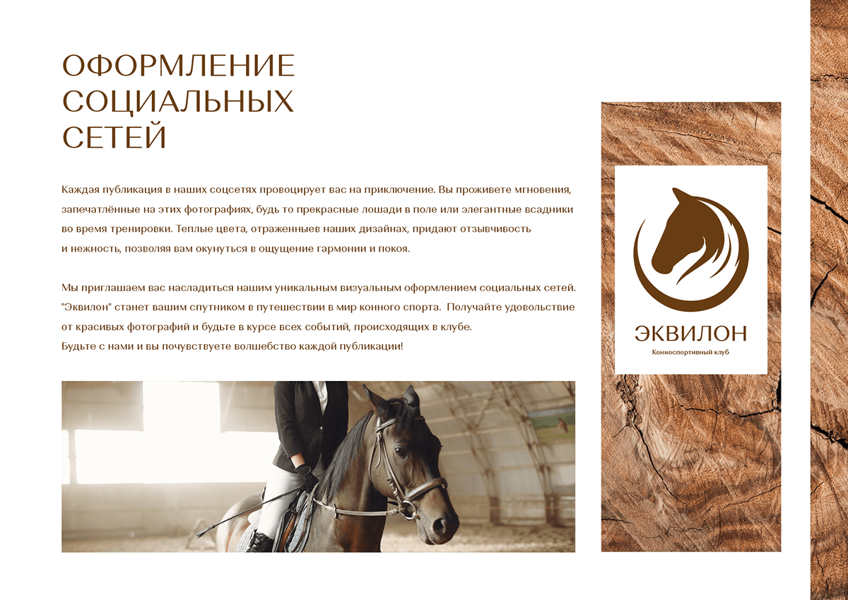 Эквилон | Брендбук | Логотип | Фирстиль | Брендинг — Изображение №25 — Брендинг на Dprofile