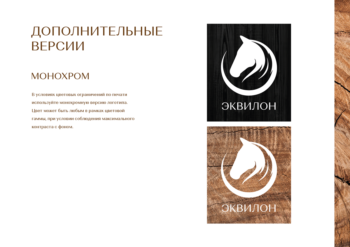 Эквилон | Брендбук | Логотип | Фирстиль | Брендинг — Изображение №10 — Брендинг на Dprofile