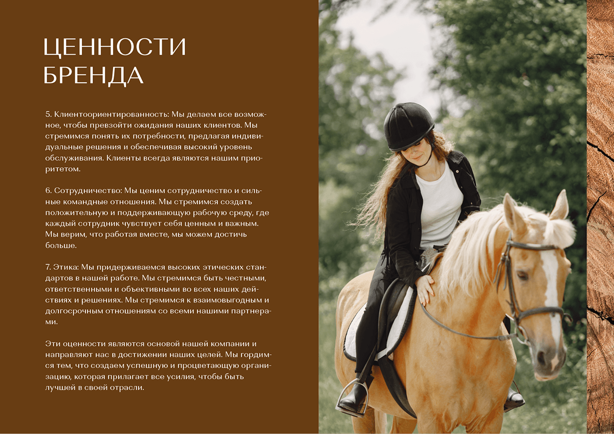 Эквилон | Брендбук | Логотип | Фирстиль | Брендинг — Изображение №3 — Брендинг на Dprofile