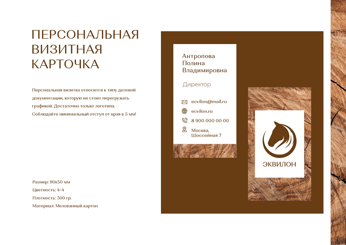 Эквилон | Брендбук | Логотип | Фирстиль | Брендинг — Изображение №18 — Брендинг на Dprofile