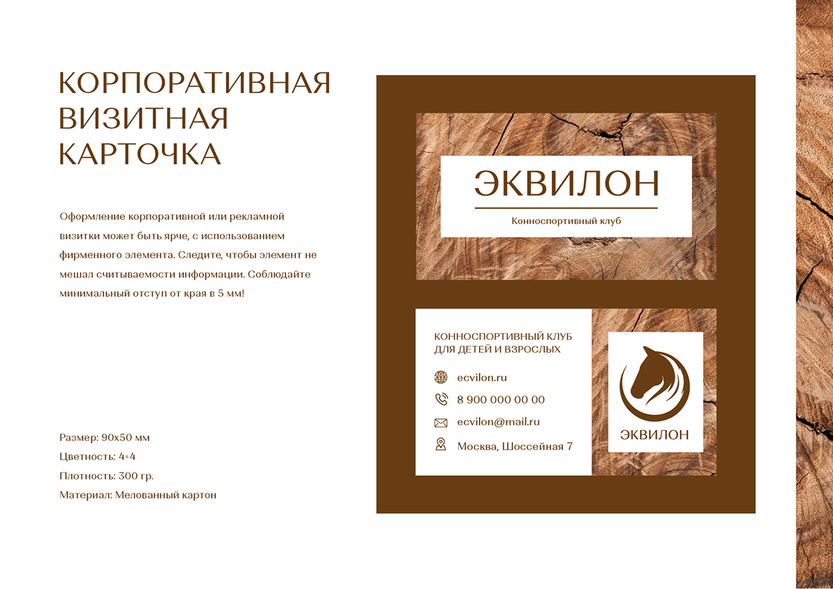 Эквилон | Брендбук | Логотип | Фирстиль | Брендинг — Изображение №17 — Брендинг на Dprofile