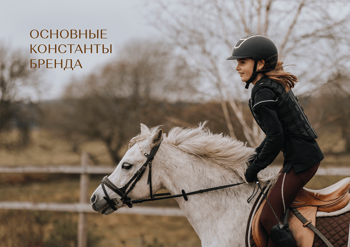 Эквилон | Брендбук | Логотип | Фирстиль | Брендинг — Изображение №6 — Брендинг на Dprofile