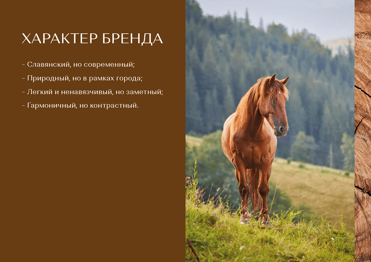 Эквилон | Брендбук | Логотип | Фирстиль | Брендинг — Изображение №4 — Брендинг на Dprofile