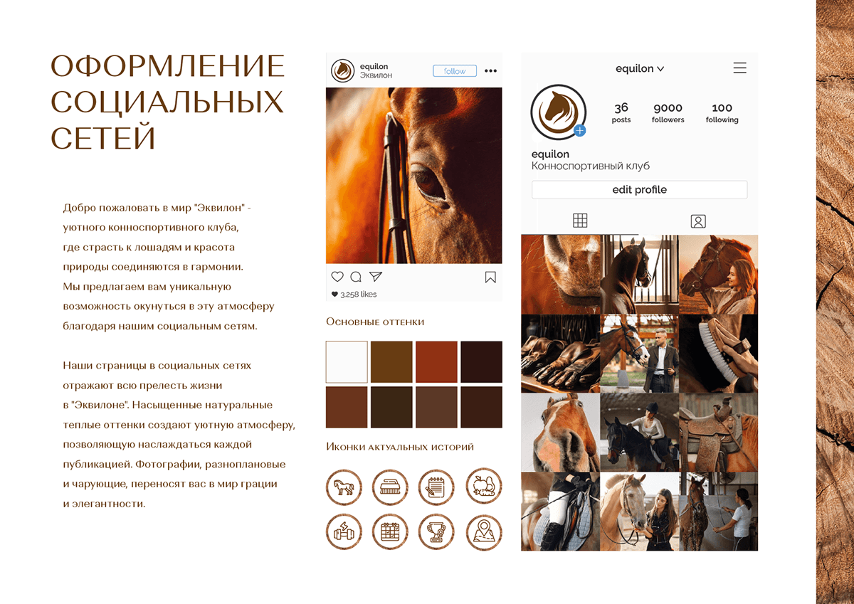 Эквилон | Брендбук | Логотип | Фирстиль | Брендинг — Изображение №24 — Брендинг на Dprofile