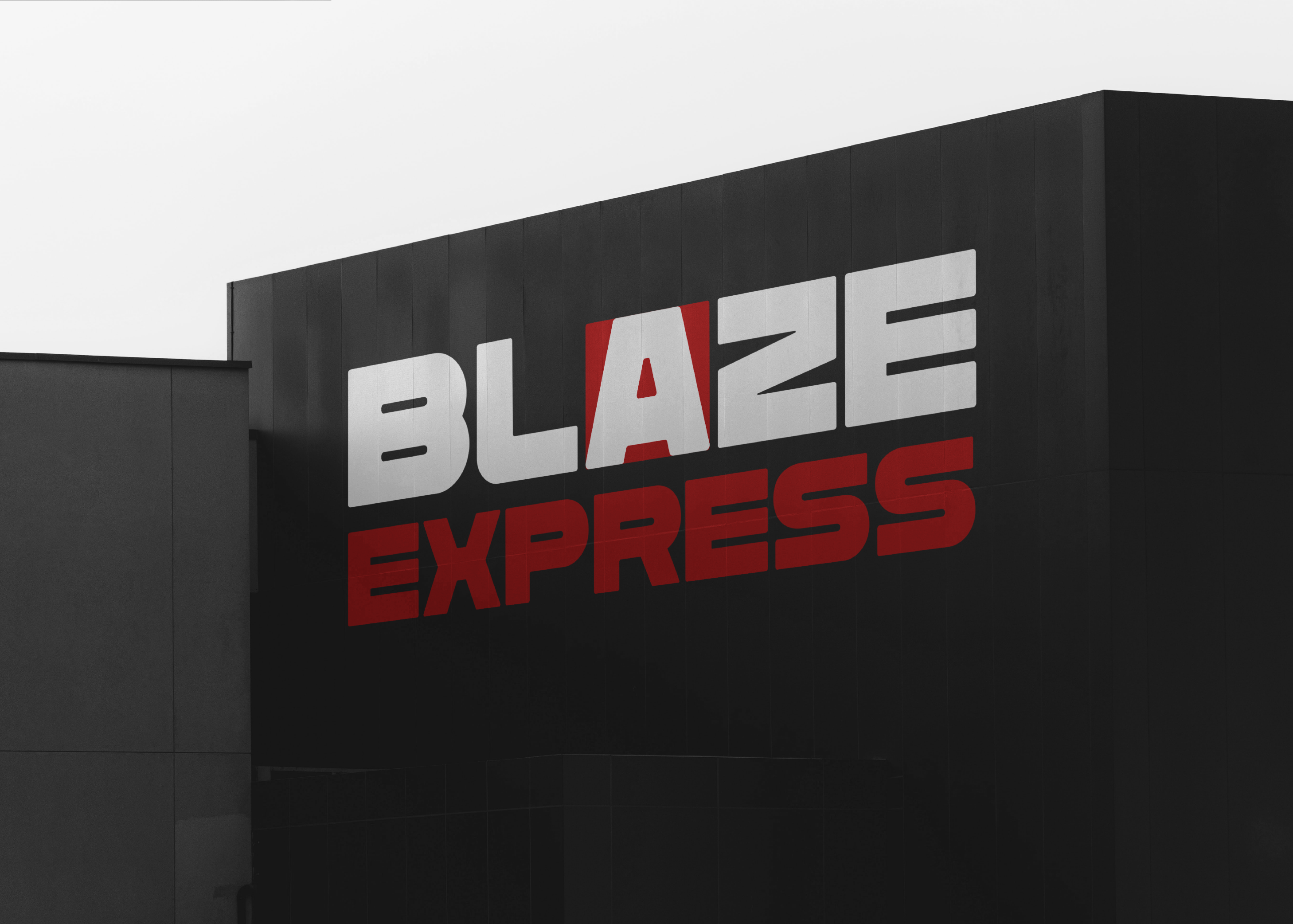Blaze Express | Логотип | Фирстиль | Брендбук — Изображение №7 — Брендинг, Графика на Dprofile