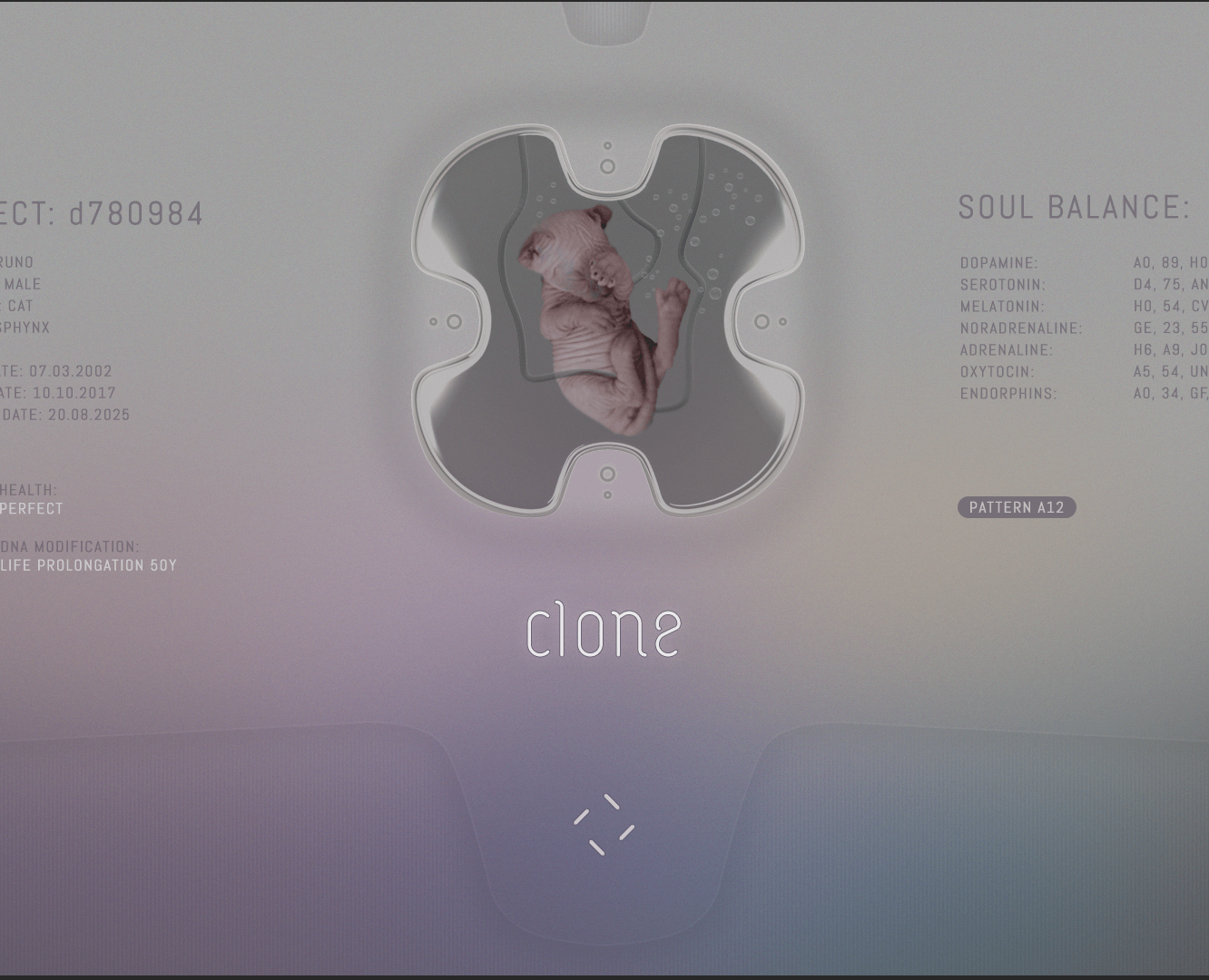 Clone.pet — Интерфейсы, Брендинг на Dprofile